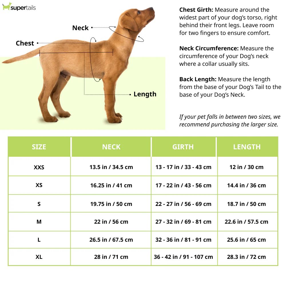 Ruffwear Lumenglow High-Vis Jacket for Dogs (Blaze Orange) - Image 2