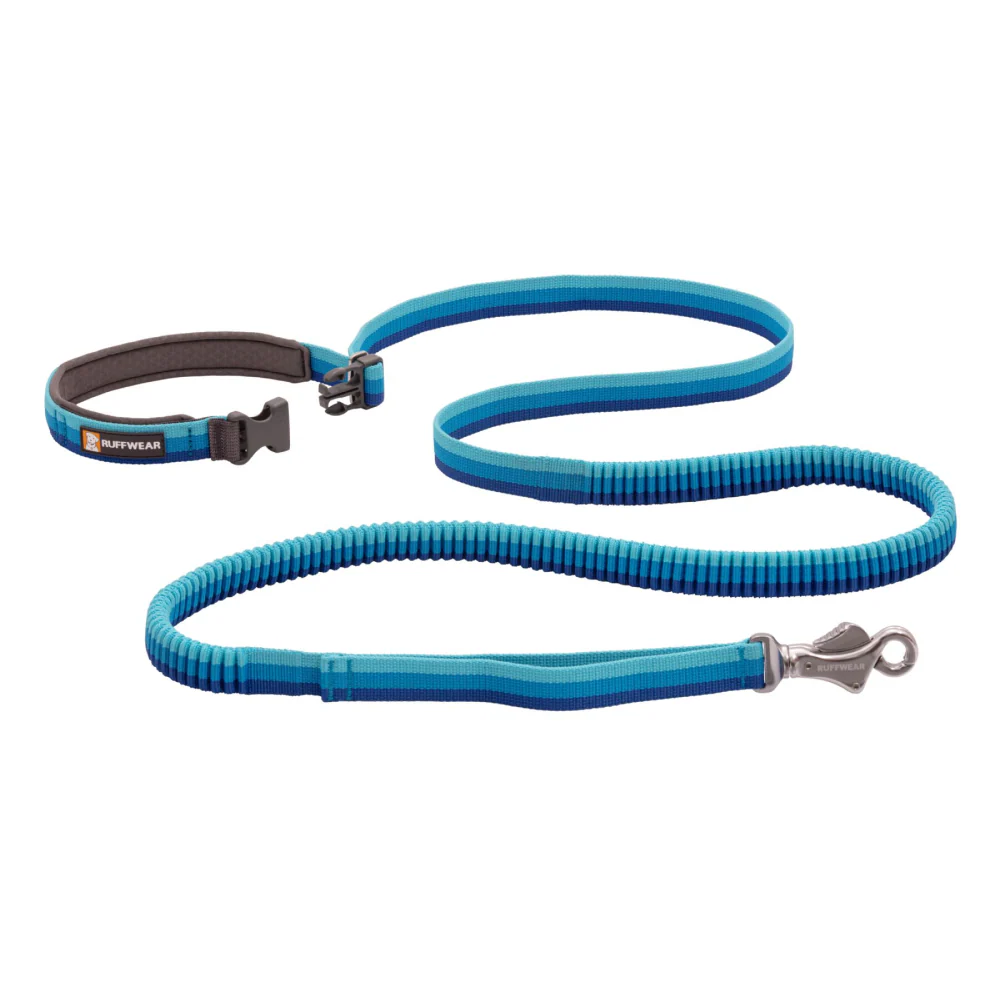 Ruffwear Roamer Bungee Leash for Dogs (Blue Atoll) - Image 3