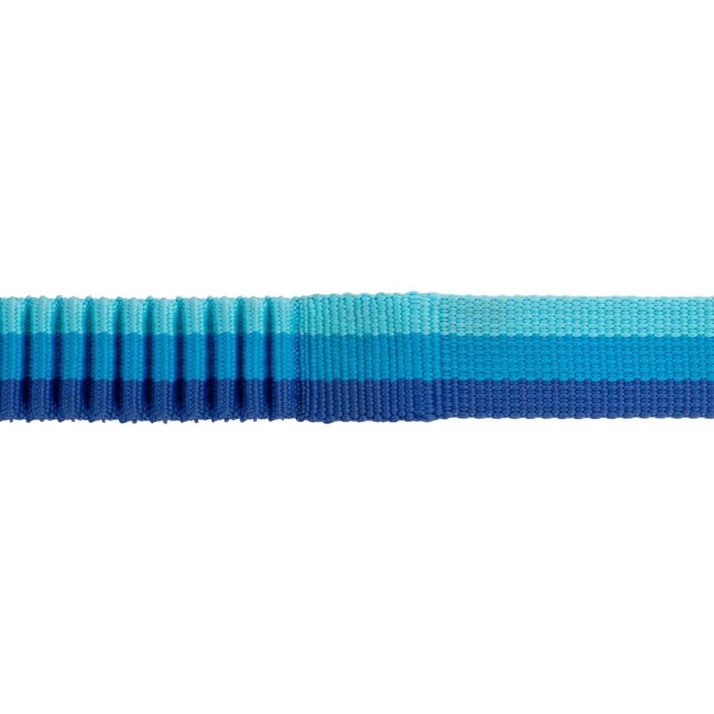Ruffwear Roamer Bungee Leash for Dogs (Blue Atoll) - Image 4