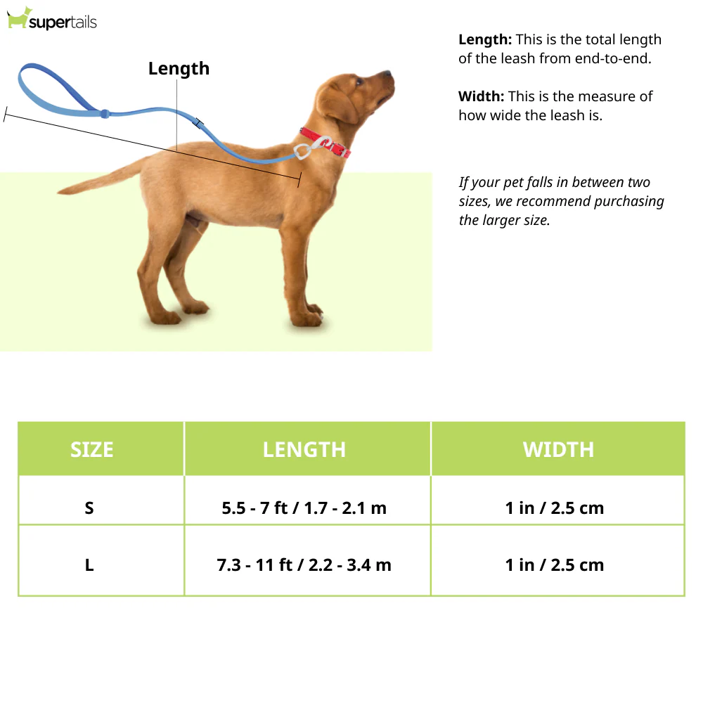 Ruffwear Roamer Bungee Leash for Dogs (Red Sumac) - Image 2