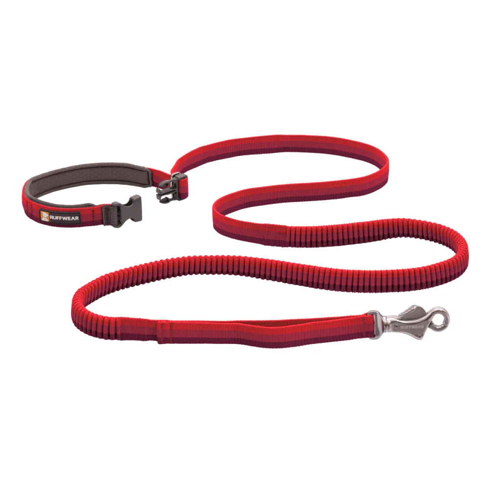 Ruffwear Roamer Bungee Leash for Dogs (Red Sumac) - Image 3