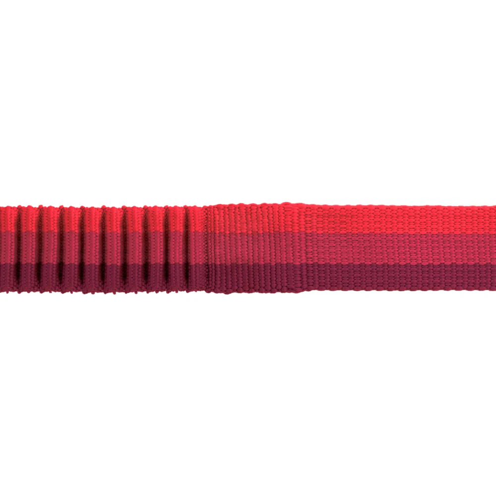 Ruffwear Roamer Bungee Leash for Dogs (Red Sumac) - Image 4