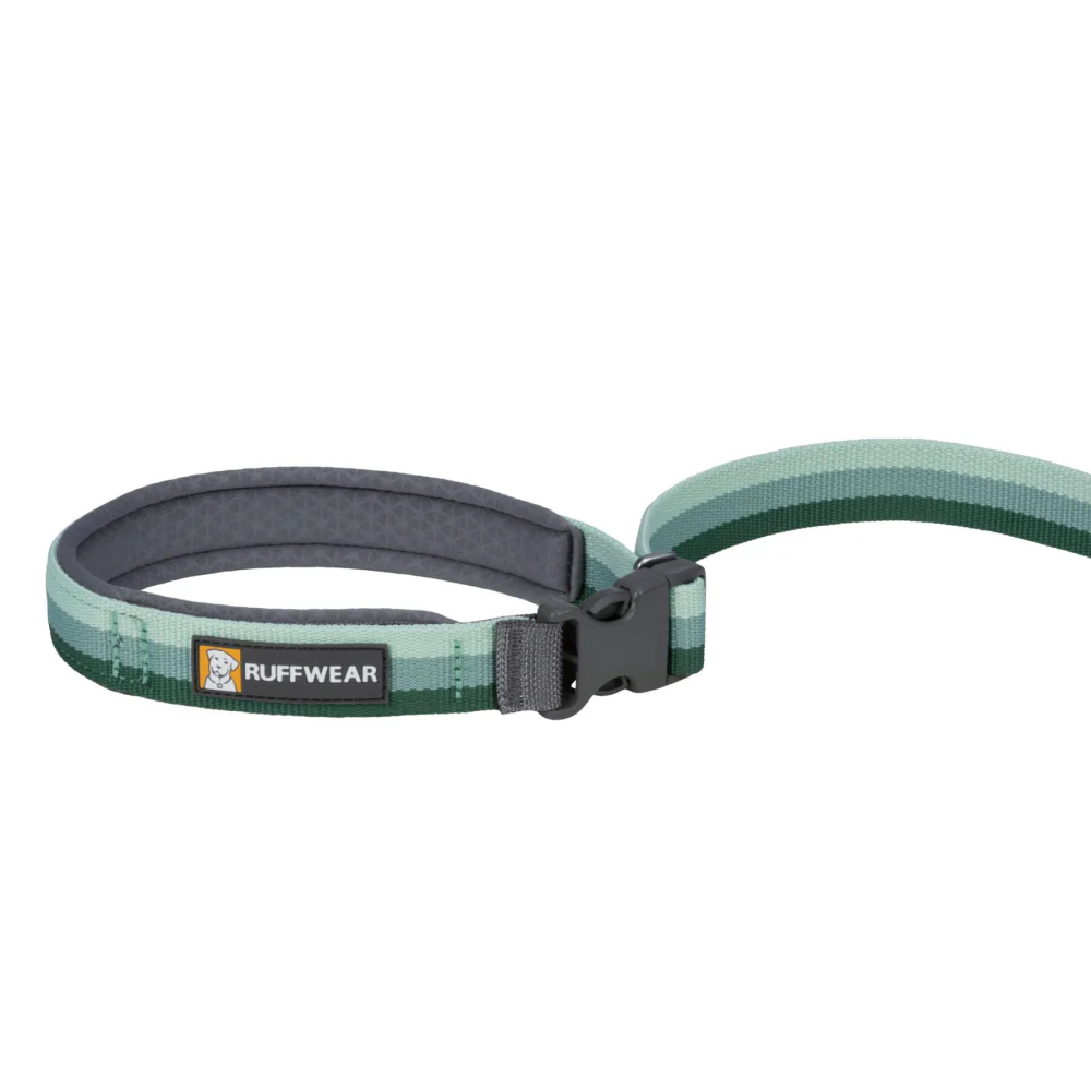 Ruffwear Roamer Bungee Leash for Dogs (River Rock) - Image 3