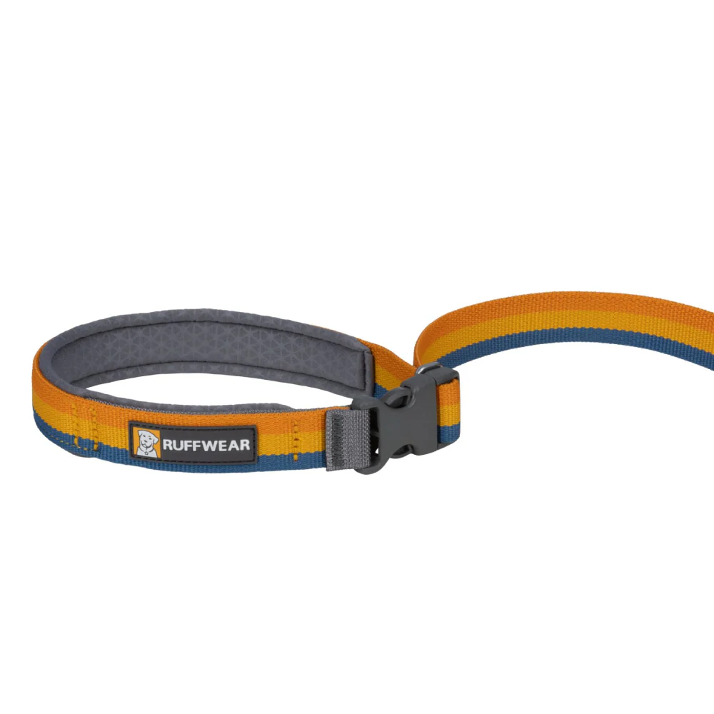 Ruffwear Roamer Bungee Leash for Dogs (Yellow Snow) - Image 3