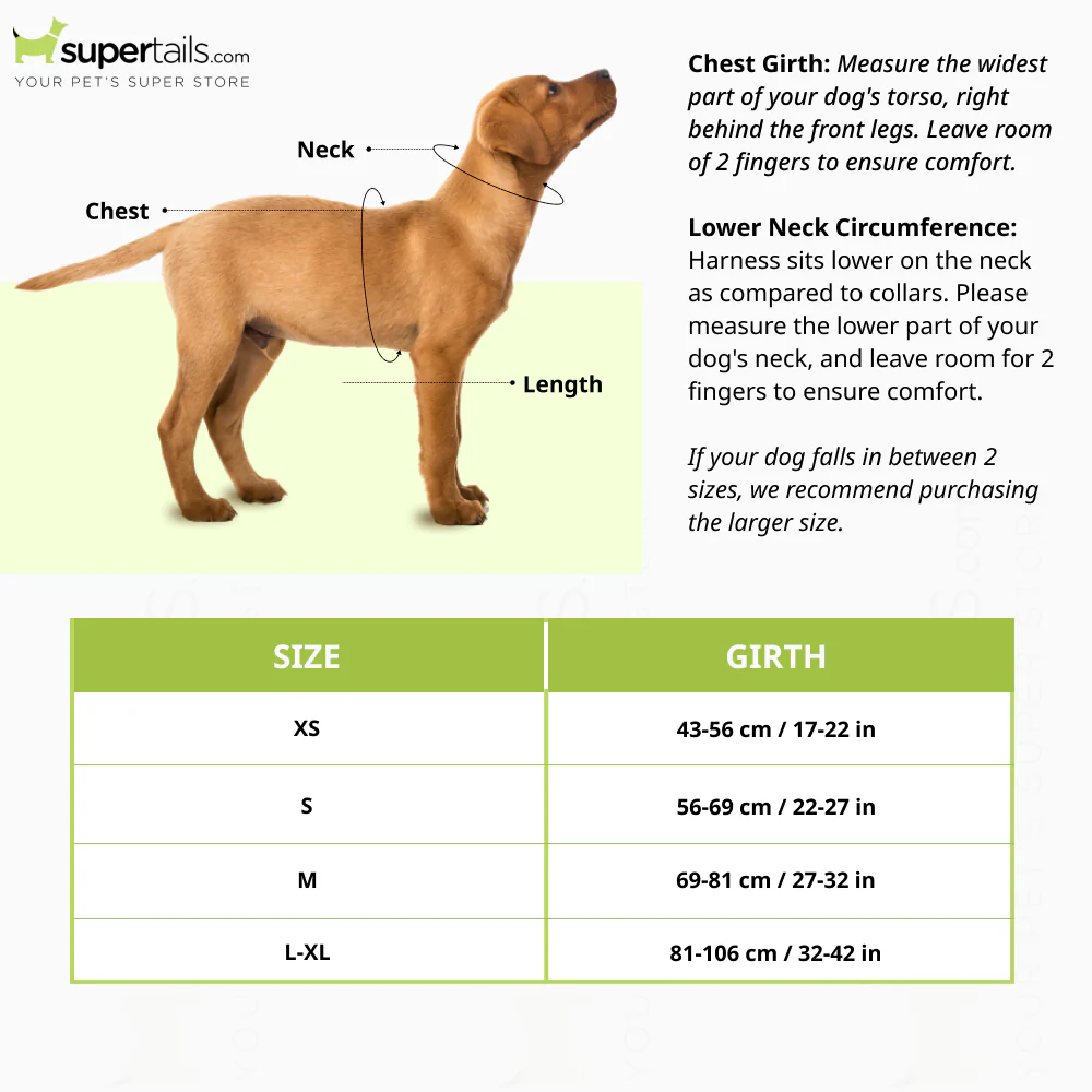 Ruffwear Switchback Harness for Dogs (Blue Moon) - Image 2