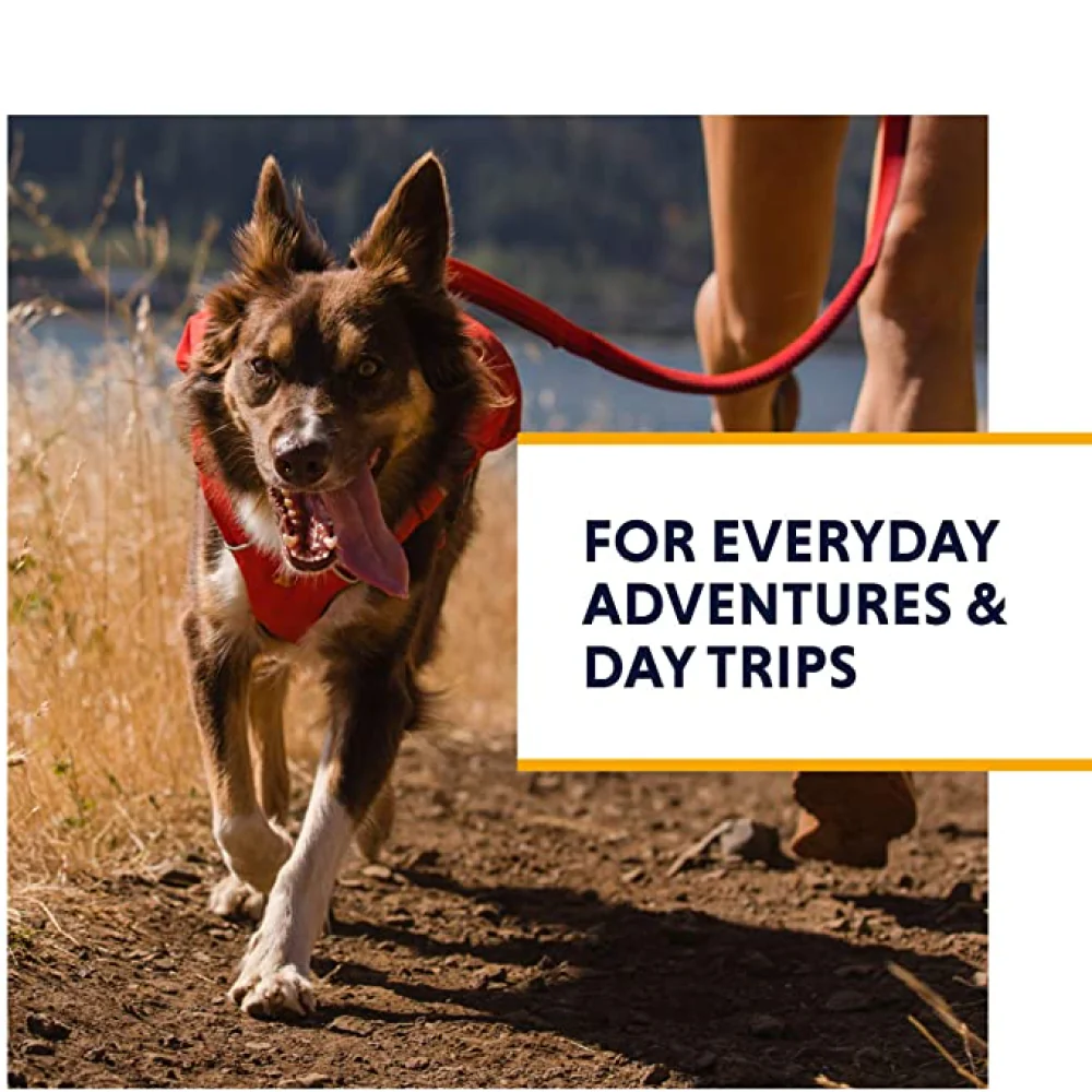 Ruffwear Switchback Harness for Dogs (Red Sumac) - Image 6