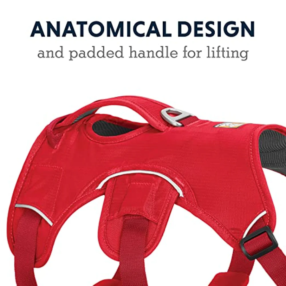 Ruffwear Webmaster Harness for Dogs (Red Currant) - Image 3