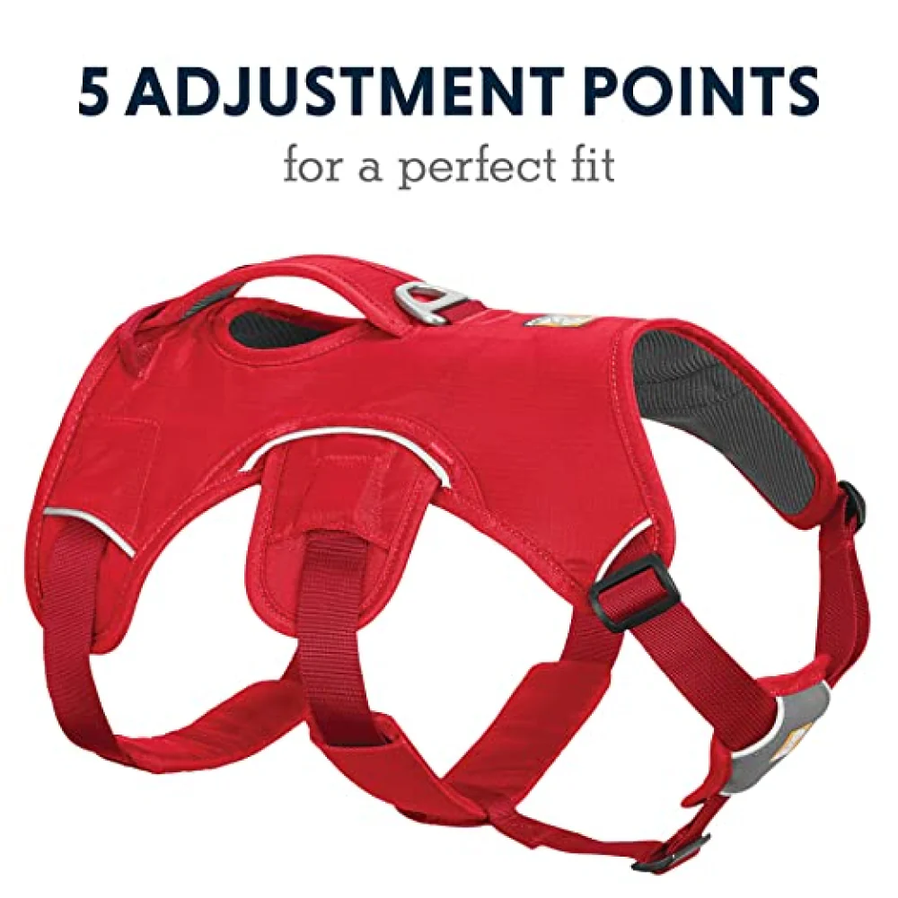 Ruffwear Webmaster Harness for Dogs (Red Currant) - Image 5