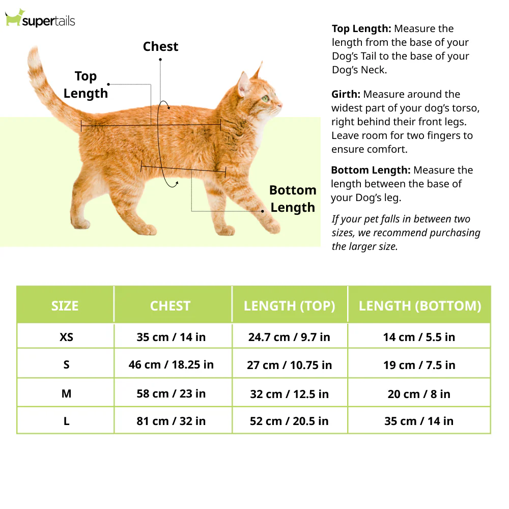 Ruse IPL "Punjab Clings" Printed Tank Jersey for Cats (Poppy Red) | Indian Pet League - Image 2