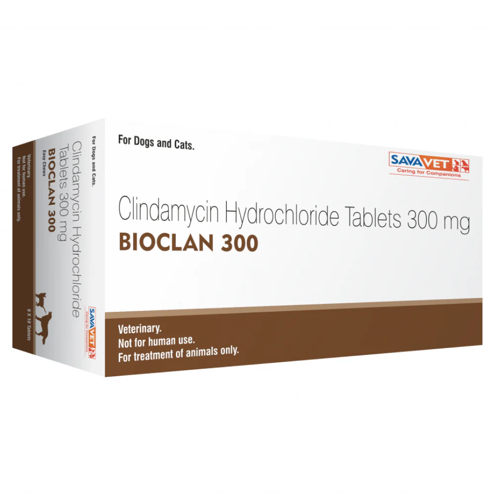 Savavet Bioclan (Clindamycin) Tablet for Dogs and Cats (pack of 10 tablets) - Image 3
