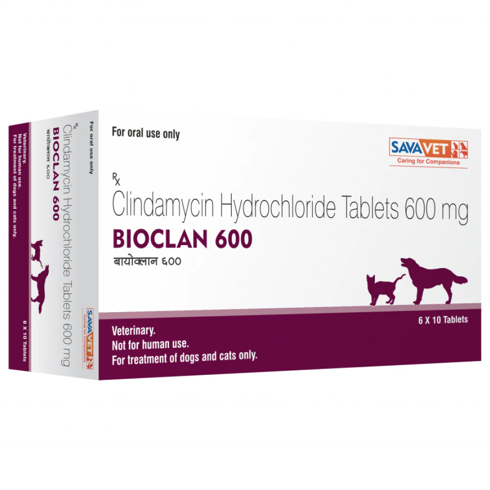 Savavet Bioclan (Clindamycin) Tablet for Dogs and Cats (pack of 10 tablets) - Image 4