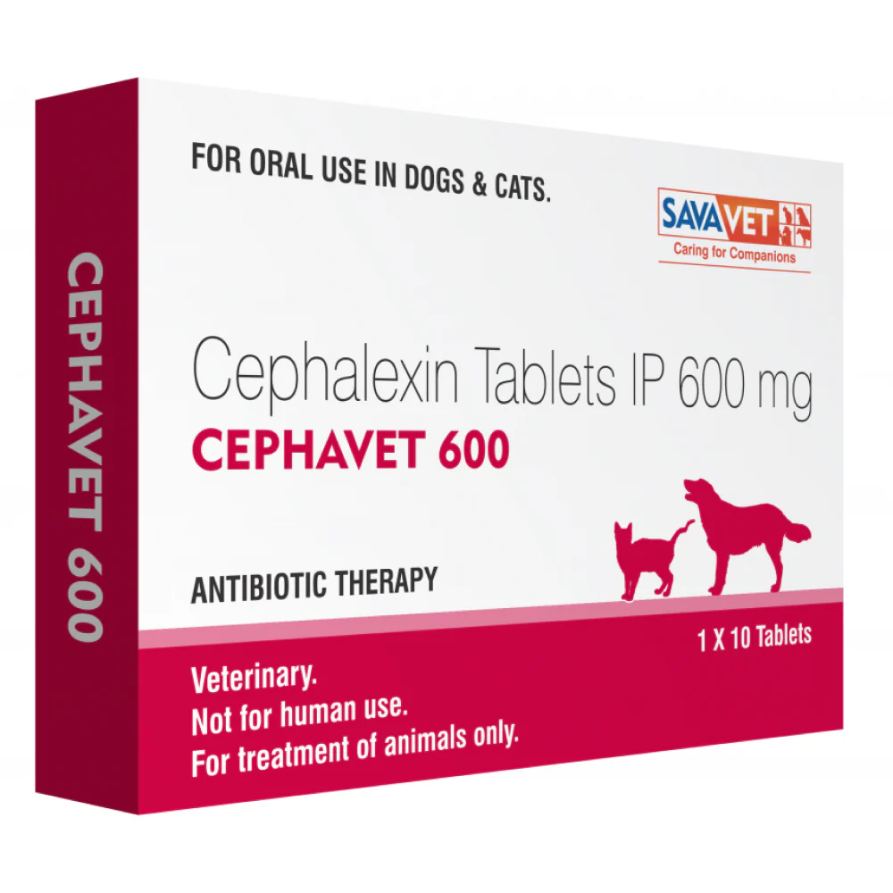 Savavet Cephavet 600mg (Cephalexin) Tablet for Dogs & Cats - Image 2