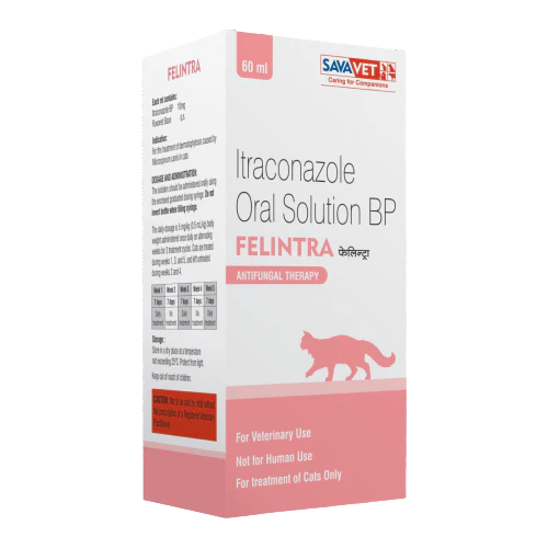 Savavet Felintra (Itraconazole) Oral Solution Cat (60ml) - Image 2