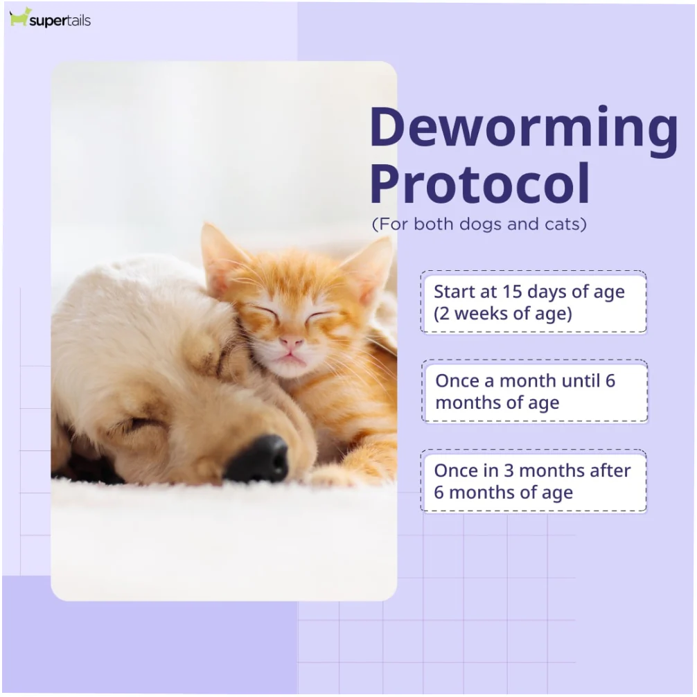 Savavet Kiwof Cat Deworming Tablet (pack of 10 tablets) - Image 3