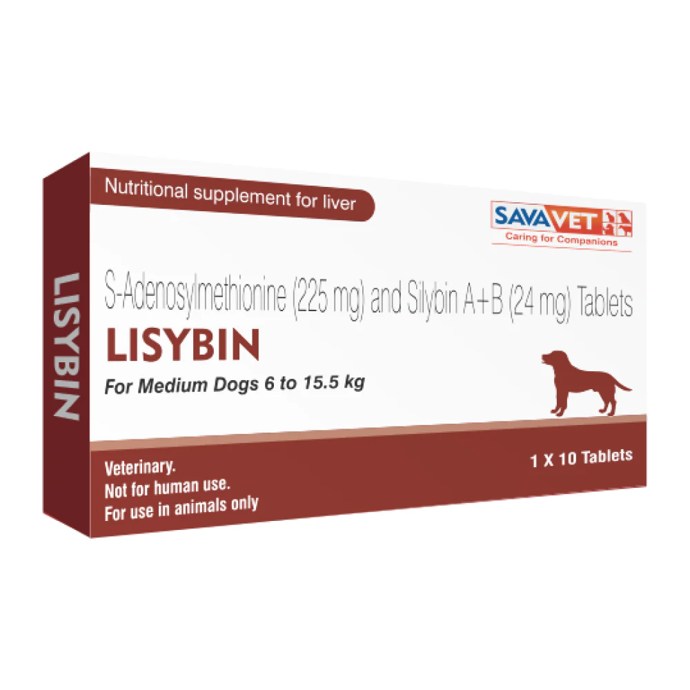Savavet Lisybin Tablet (pack of 10 tablets) - Image 2