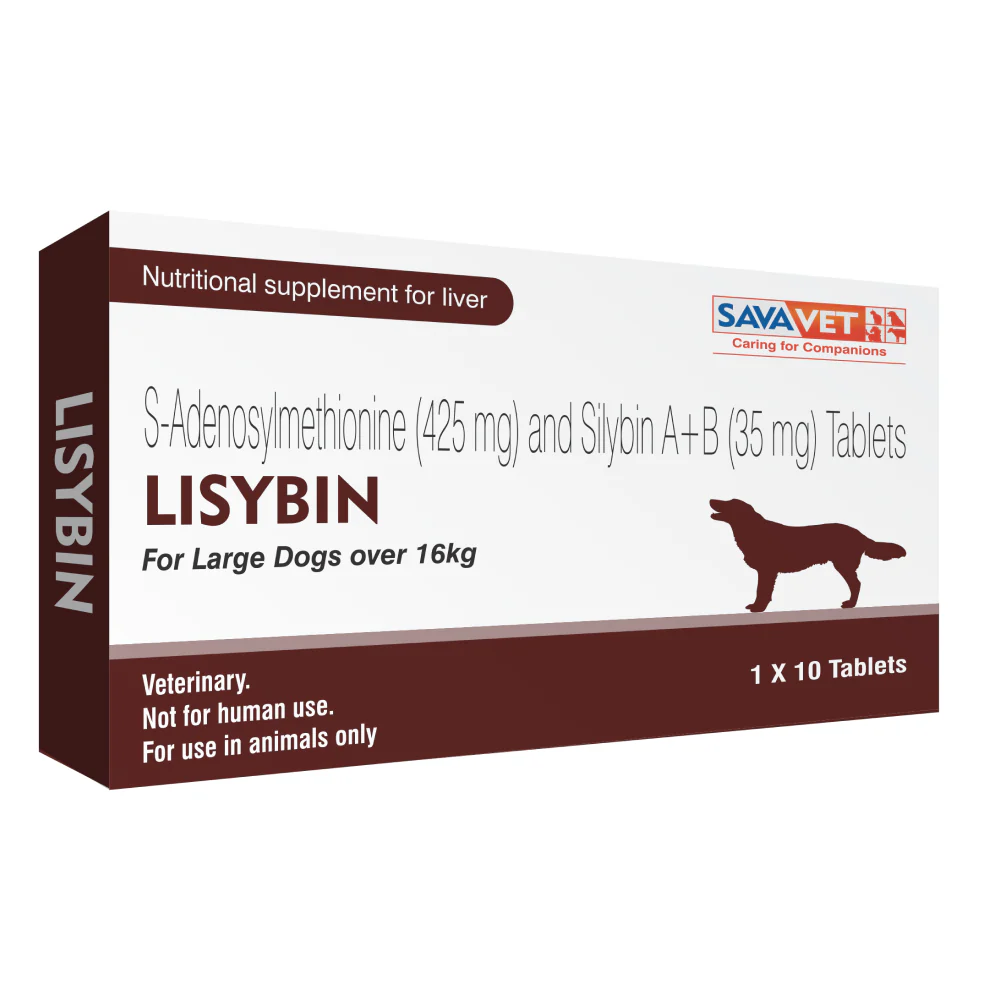 Savavet Lisybin Tablet (pack of 10 tablets) - Image 4