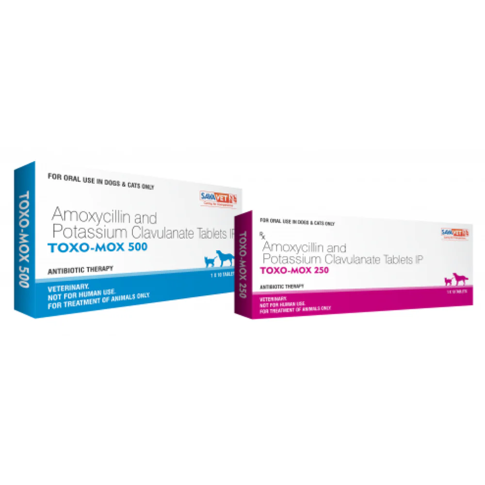 Savavet Toxo Mox (Amoxycillin) Tablets for Dogs & Cats (pack of 10 tablets) - Image 4