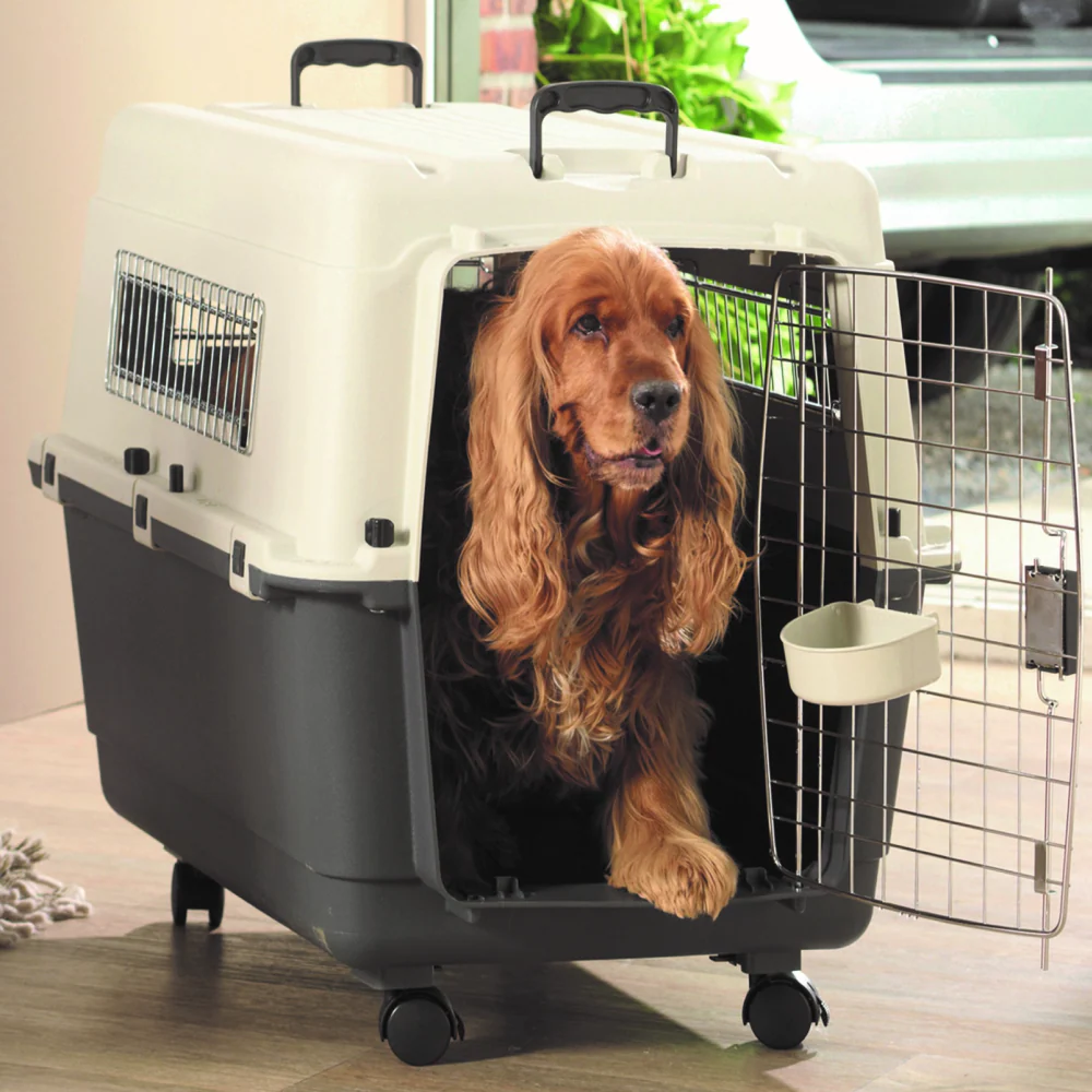 Savic Andes 5 Carrier for Dogs and Cats (Ivory) - Image 3