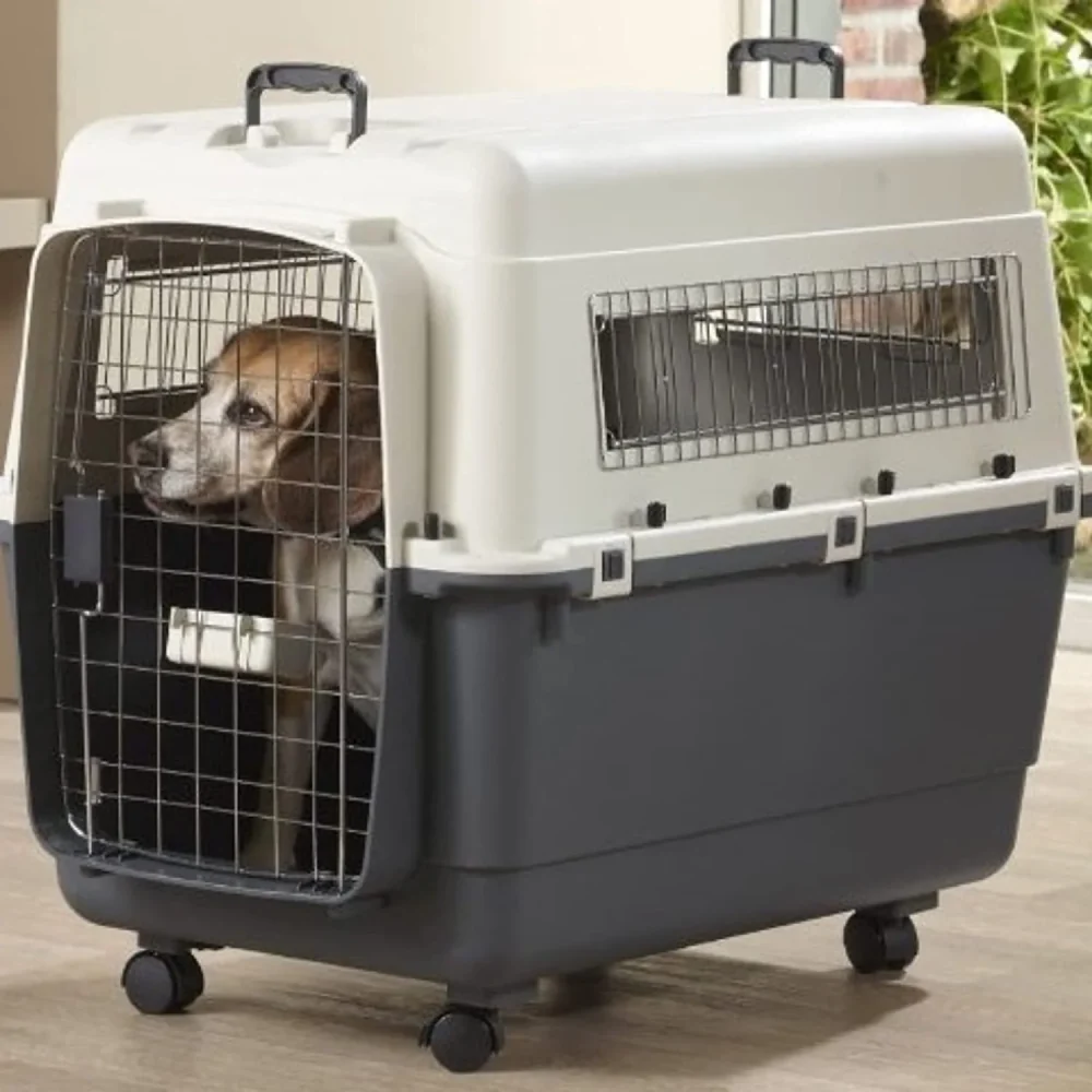 Savic Andes 6 Carrier for Dogs and Cats (Ivory) - Image 5