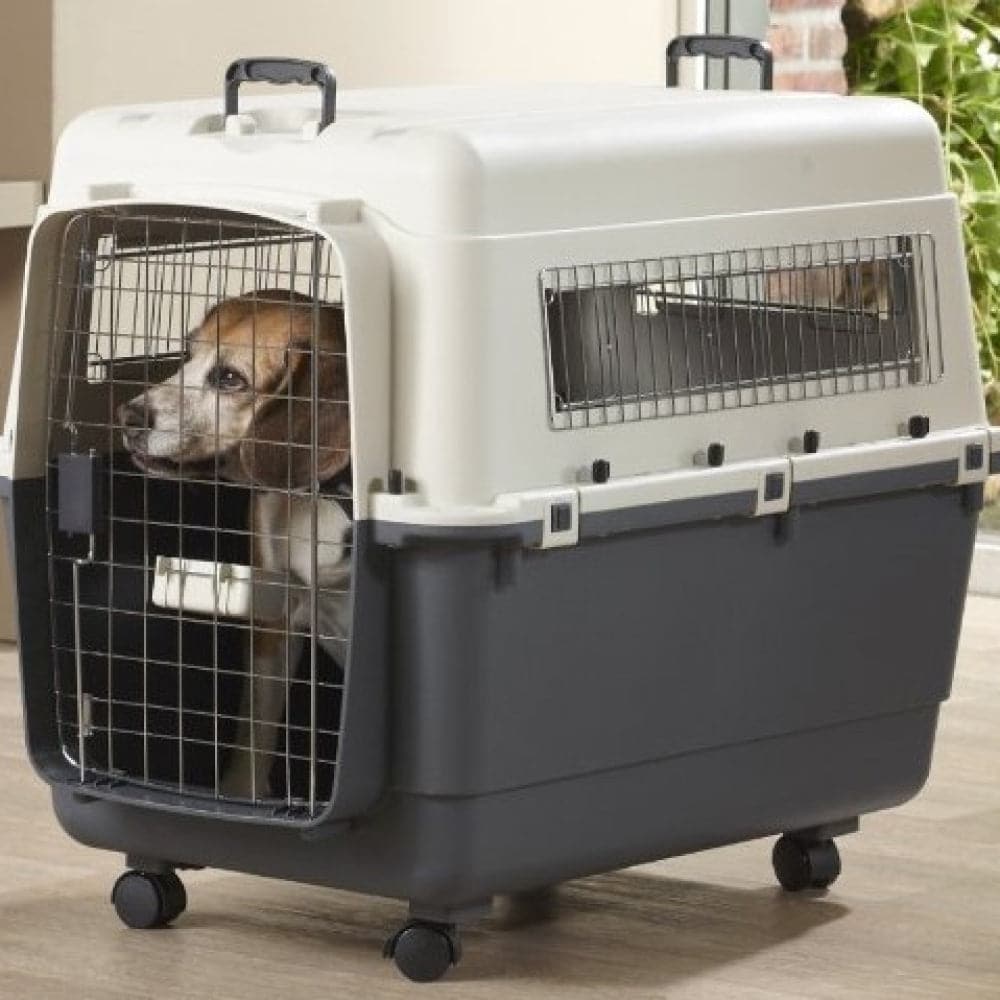 Savic Belgium Andes 7 Pet Carrier for Dogs and Cats (Ivory) - Image 3
