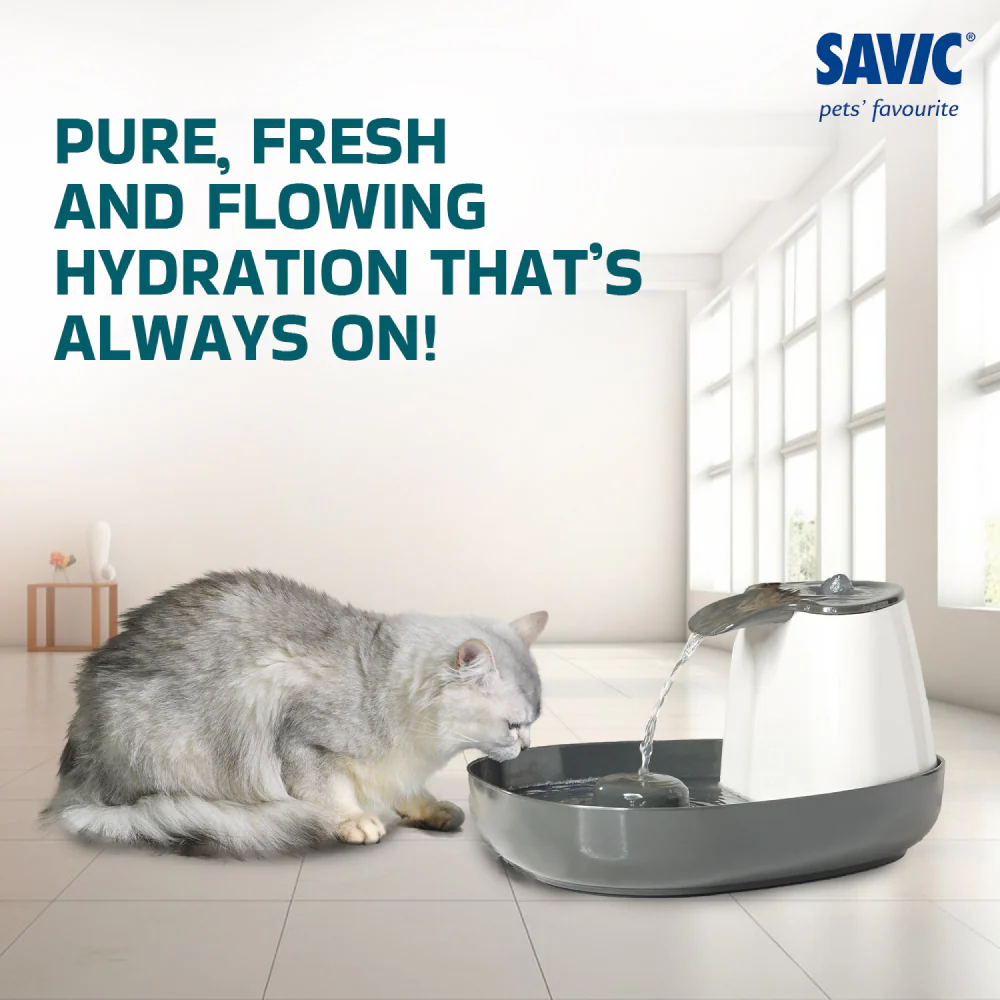 Savic Cascade Anthracite Water Fountain for Cats (Grey) - Image 6