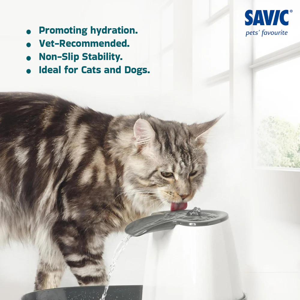 Savic Cascade Anthracite Water Fountain for Cats (Grey) - Image 7