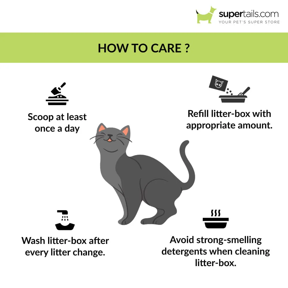 Savic Iriz Litter Tray with Rim for Cats (Lemon Green) - Image 3