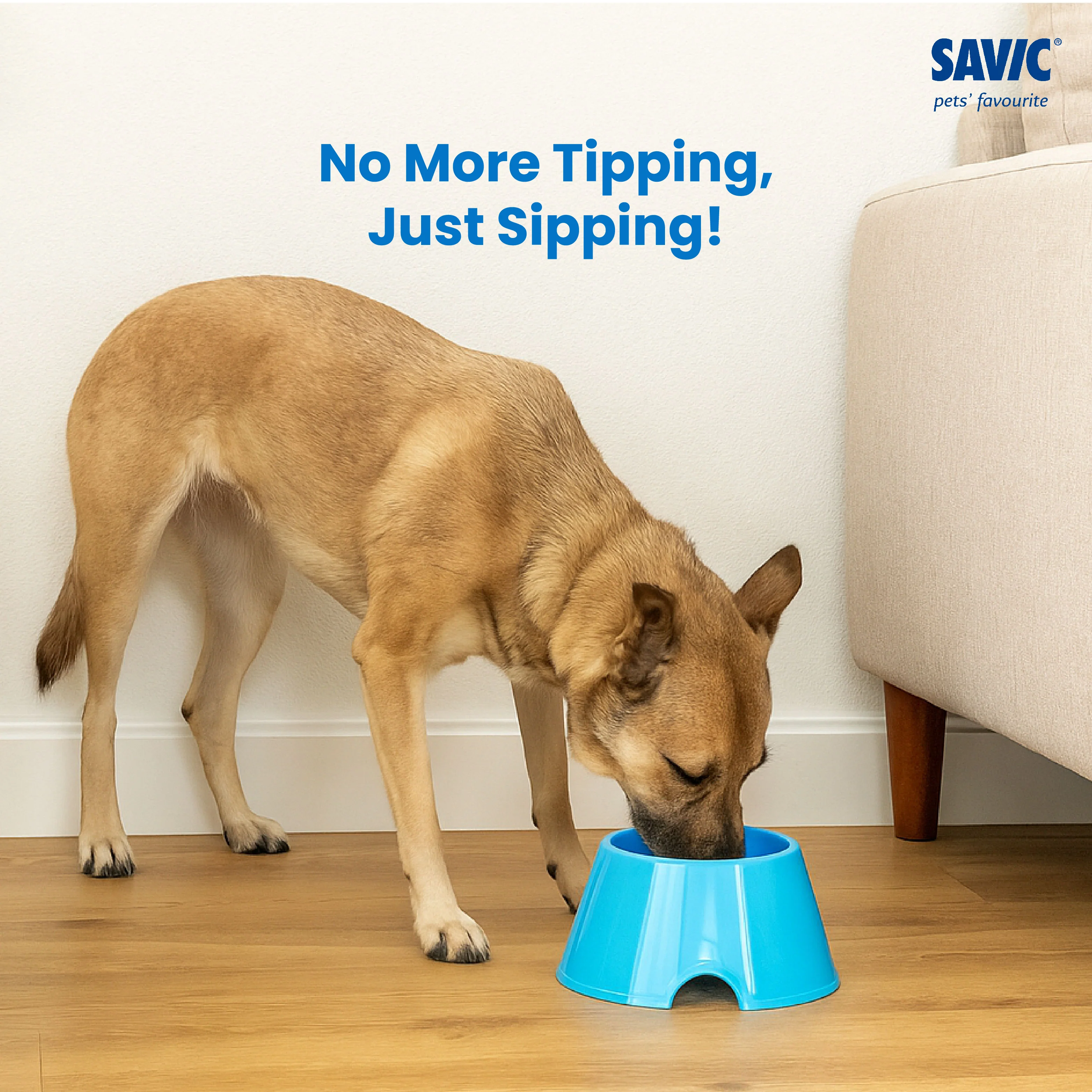 Savic Picnic Cocker Bowl for Dogs and Cats (Blue) - Image 2