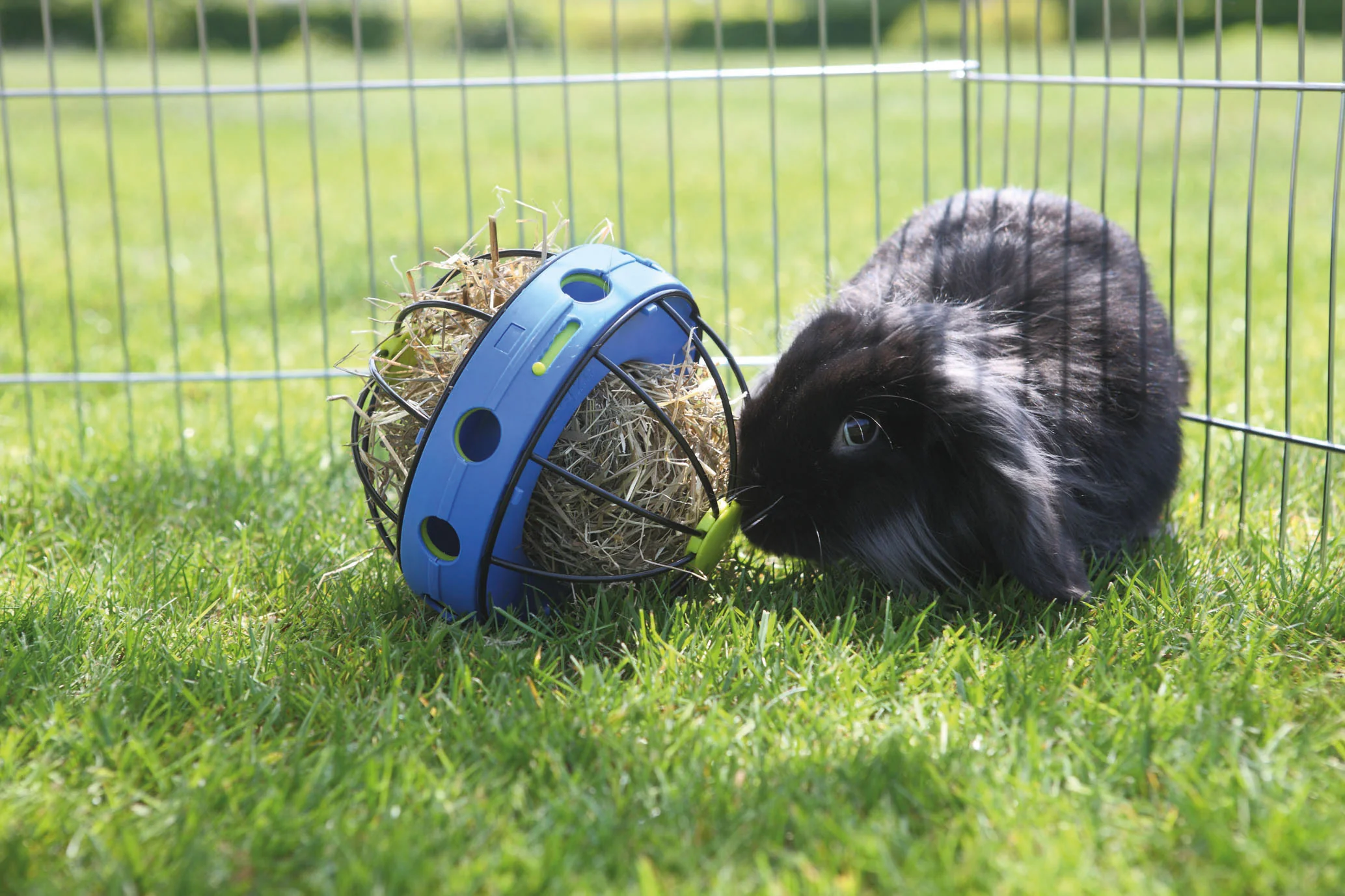 Savic Bunny Toy with Feeder for Rabbits - Image 2