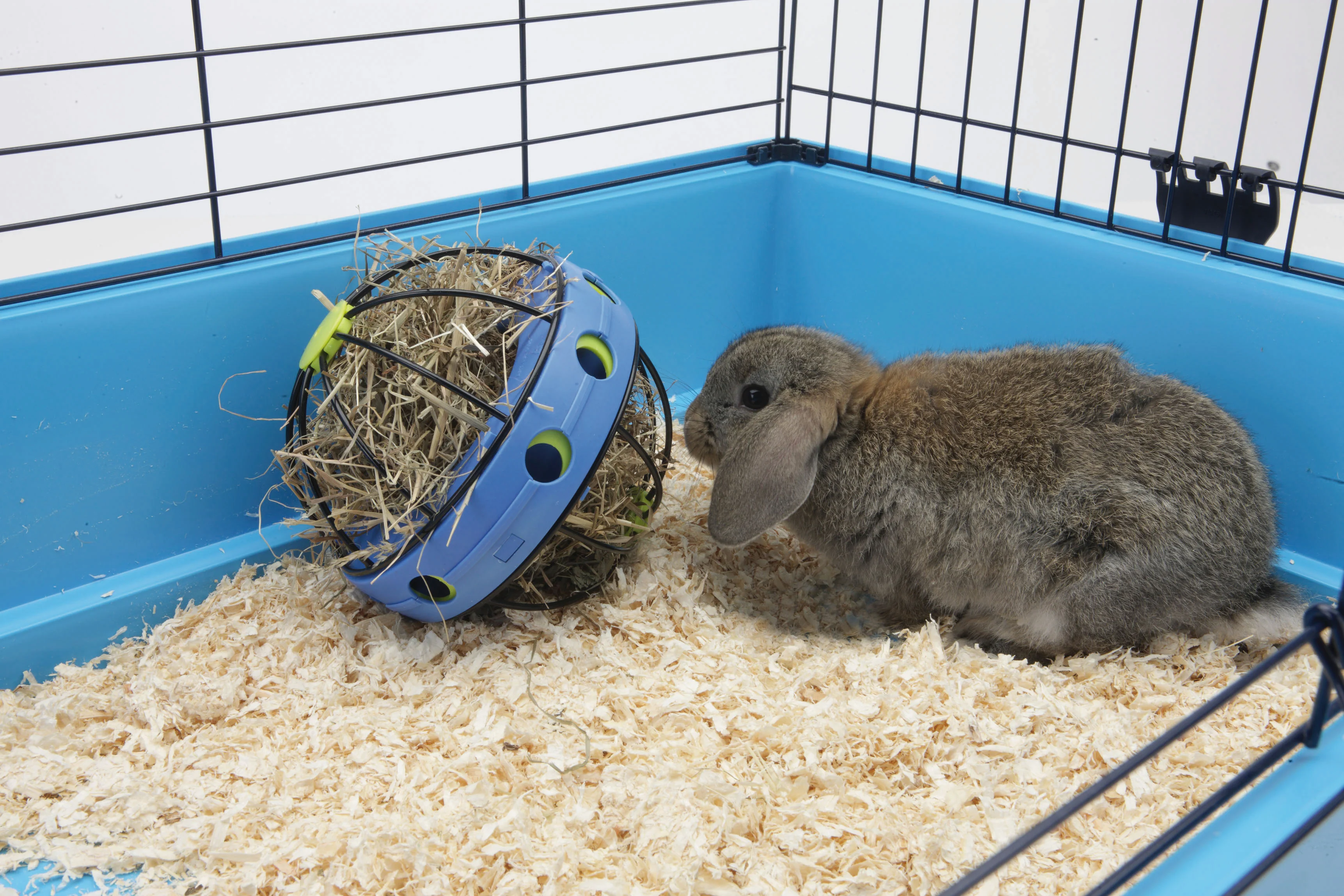 Savic Bunny Toy with Feeder for Rabbits - Image 4