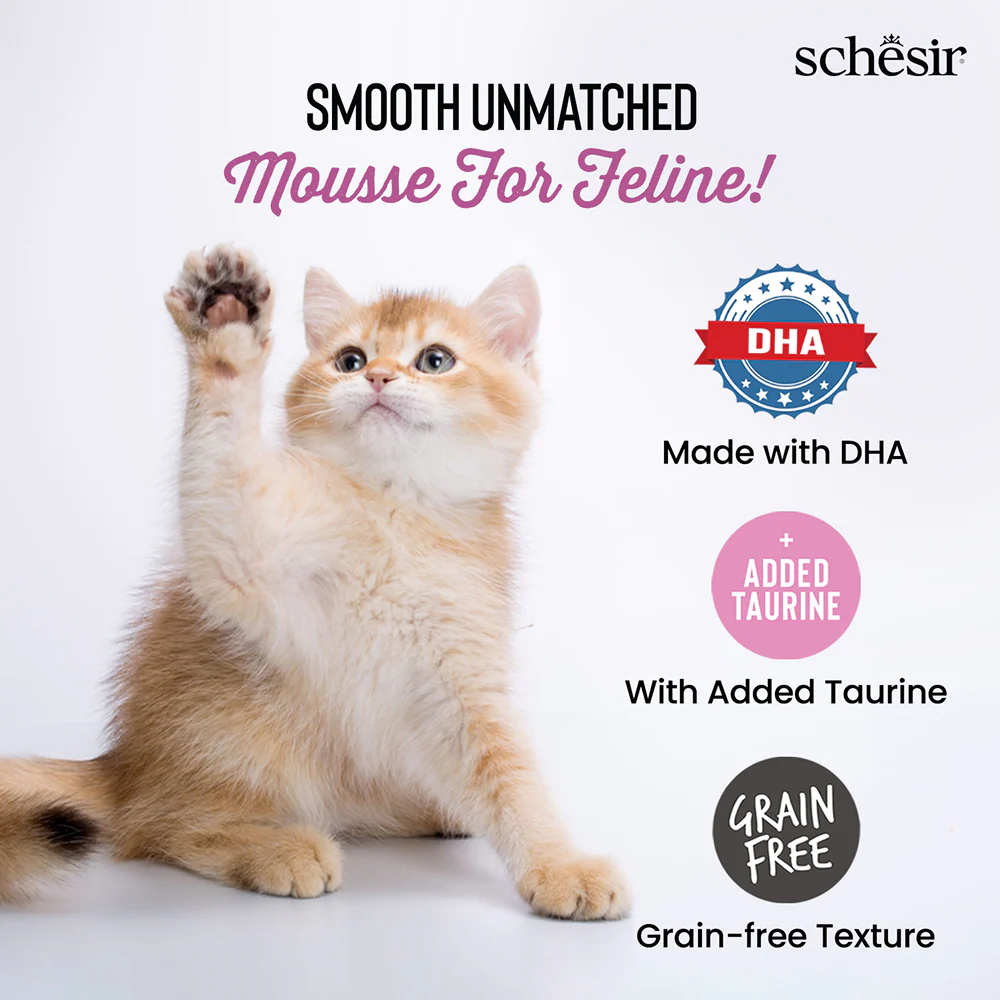 Schesir Baby Chicken and Liver Mousse Kitten Cat Wet Food - Image 6