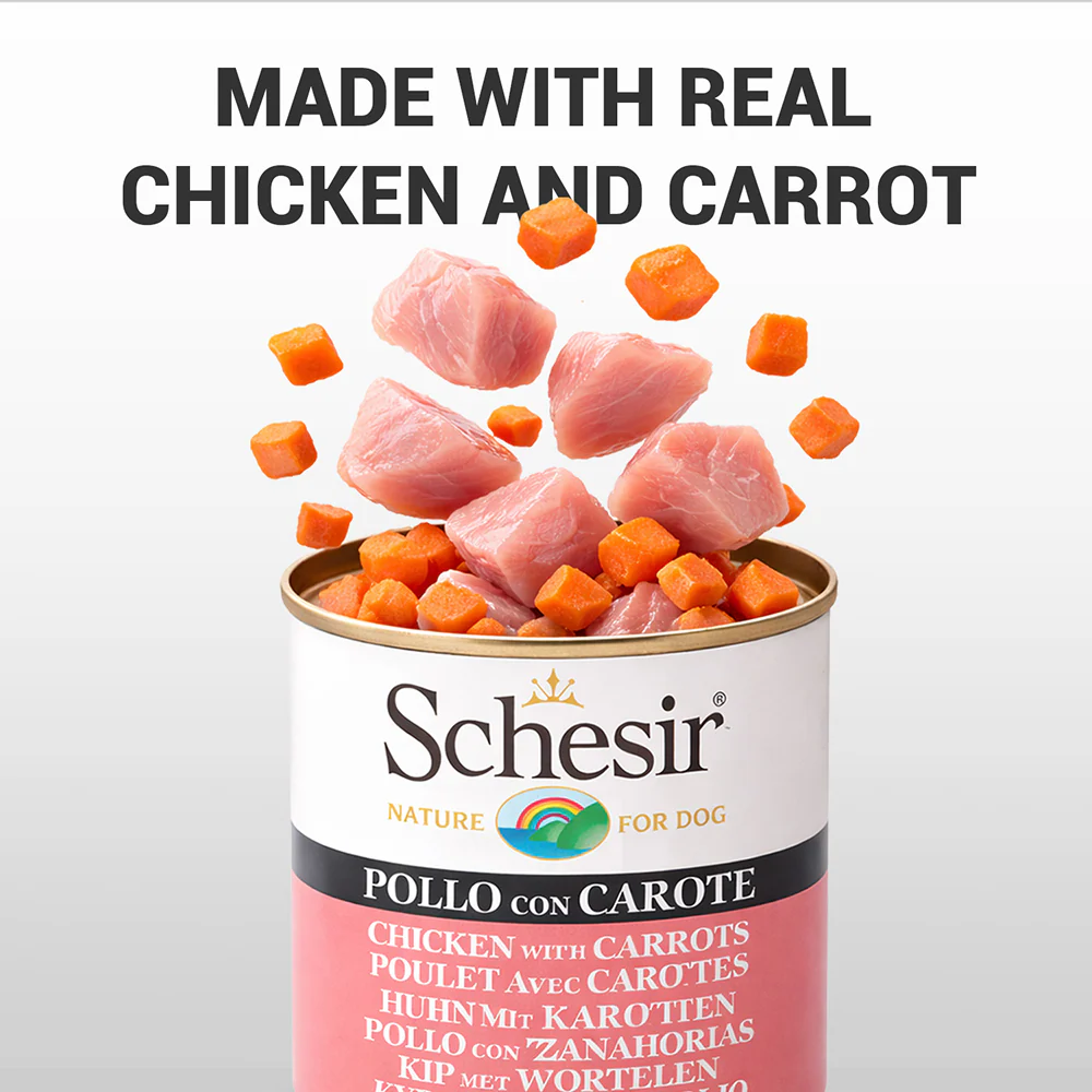 Schesir Chicken & Rice with Carrot in Jelly Dog Wet Food - Image 2