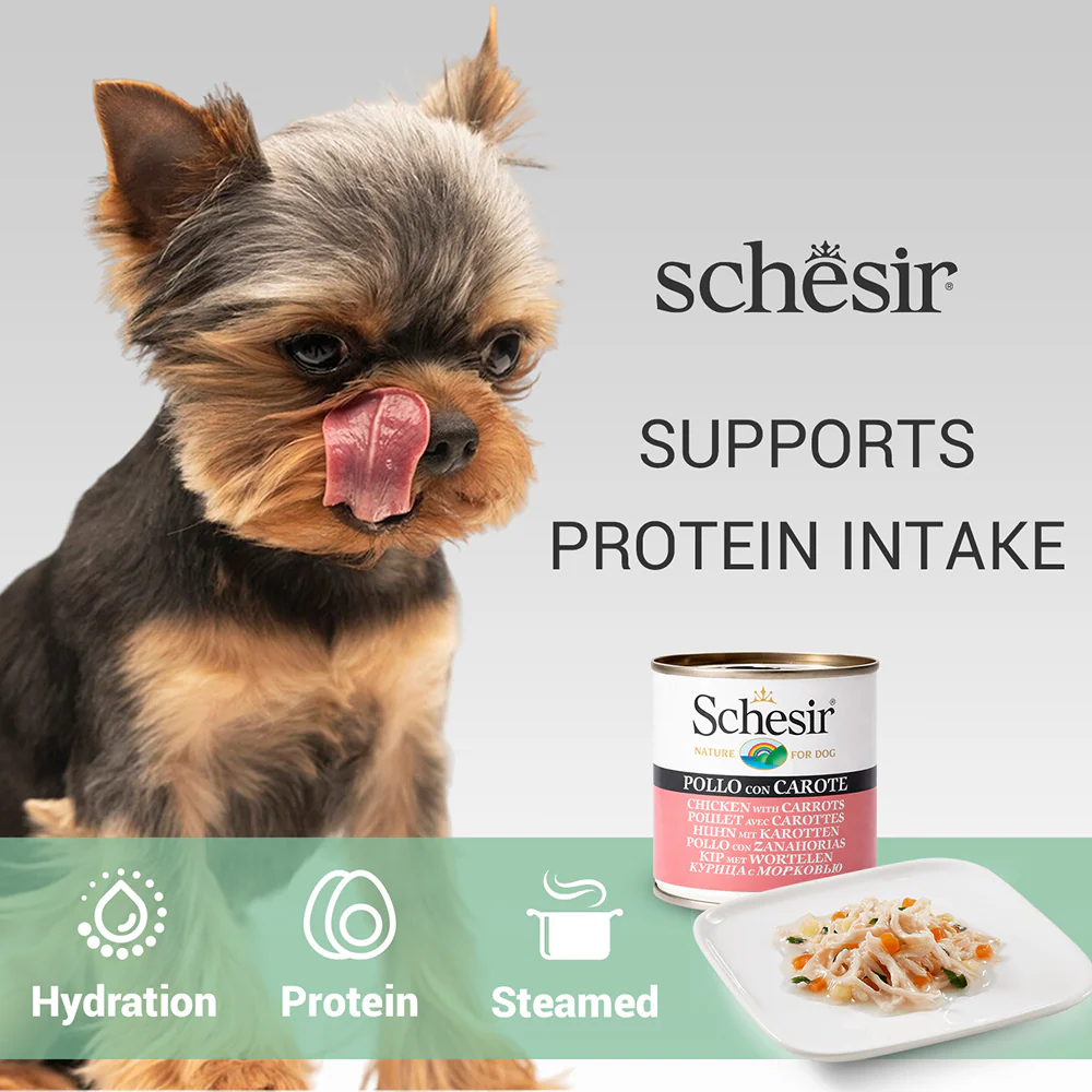 Schesir Chicken & Rice with Carrot in Jelly Dog Wet Food - Image 3