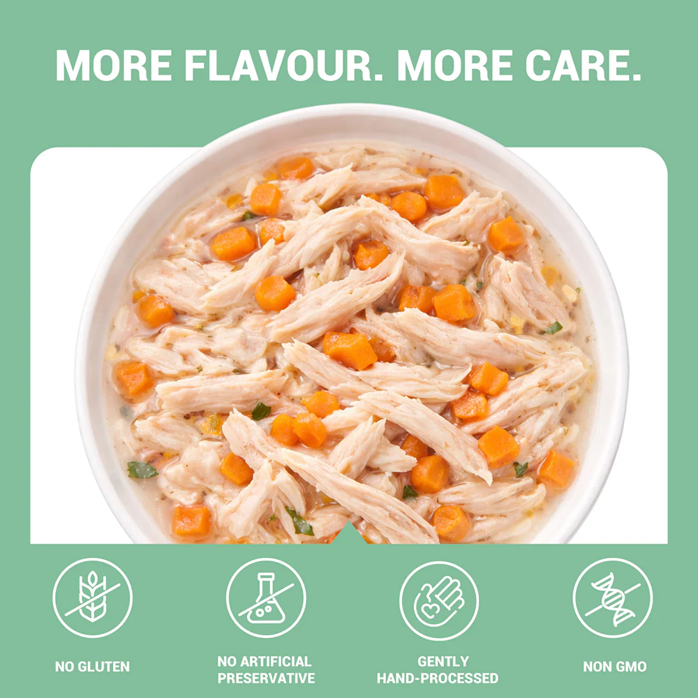 Schesir Chicken & Rice with Carrot in Jelly Dog Wet Food - Image 4