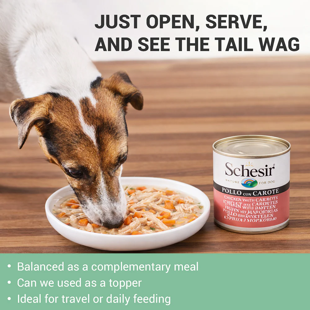 Schesir Chicken & Rice with Carrot in Jelly Dog Wet Food - Image 5