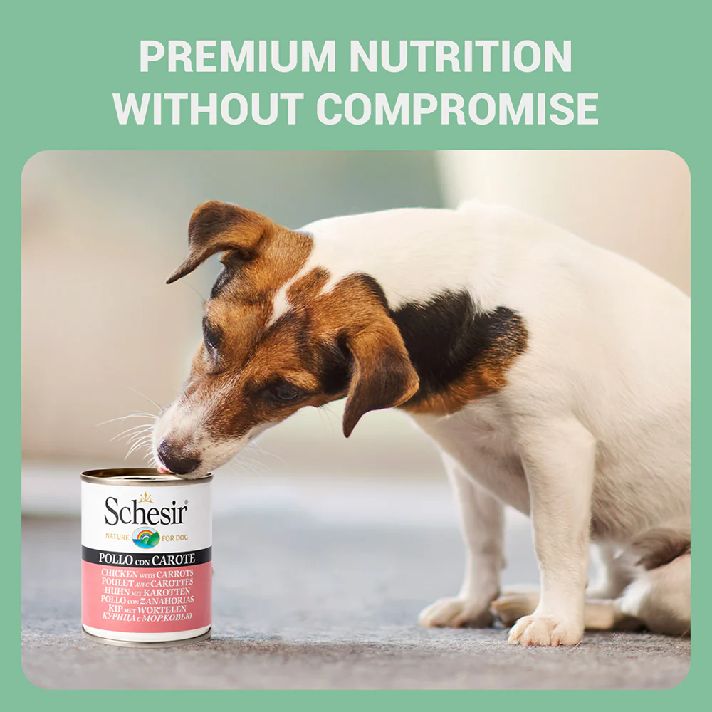 Schesir Chicken & Rice with Carrot in Jelly Dog Wet Food - Image 6