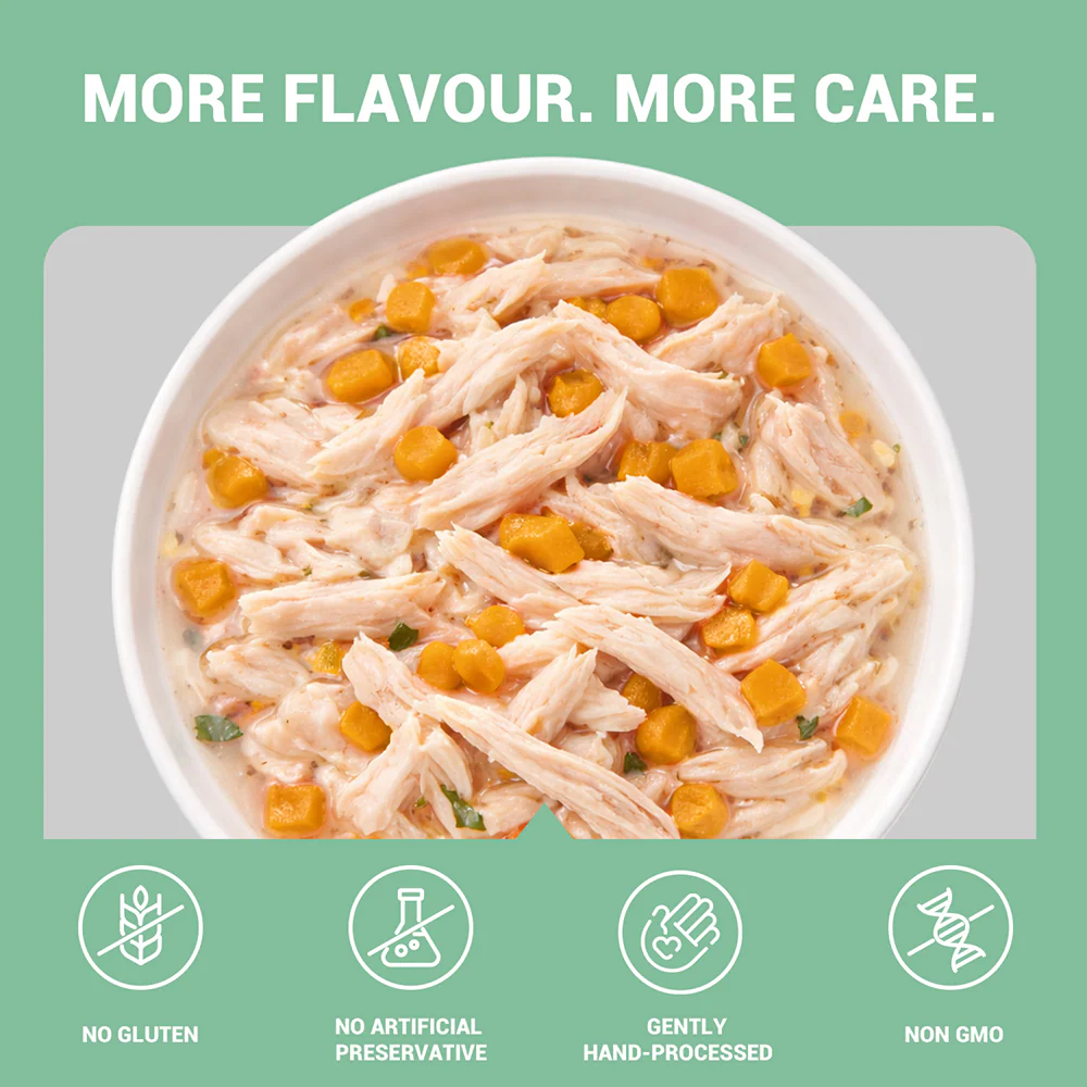 Schesir Chicken & Rice with Pumpkin in Jelly Dog Wet Food - Image 3
