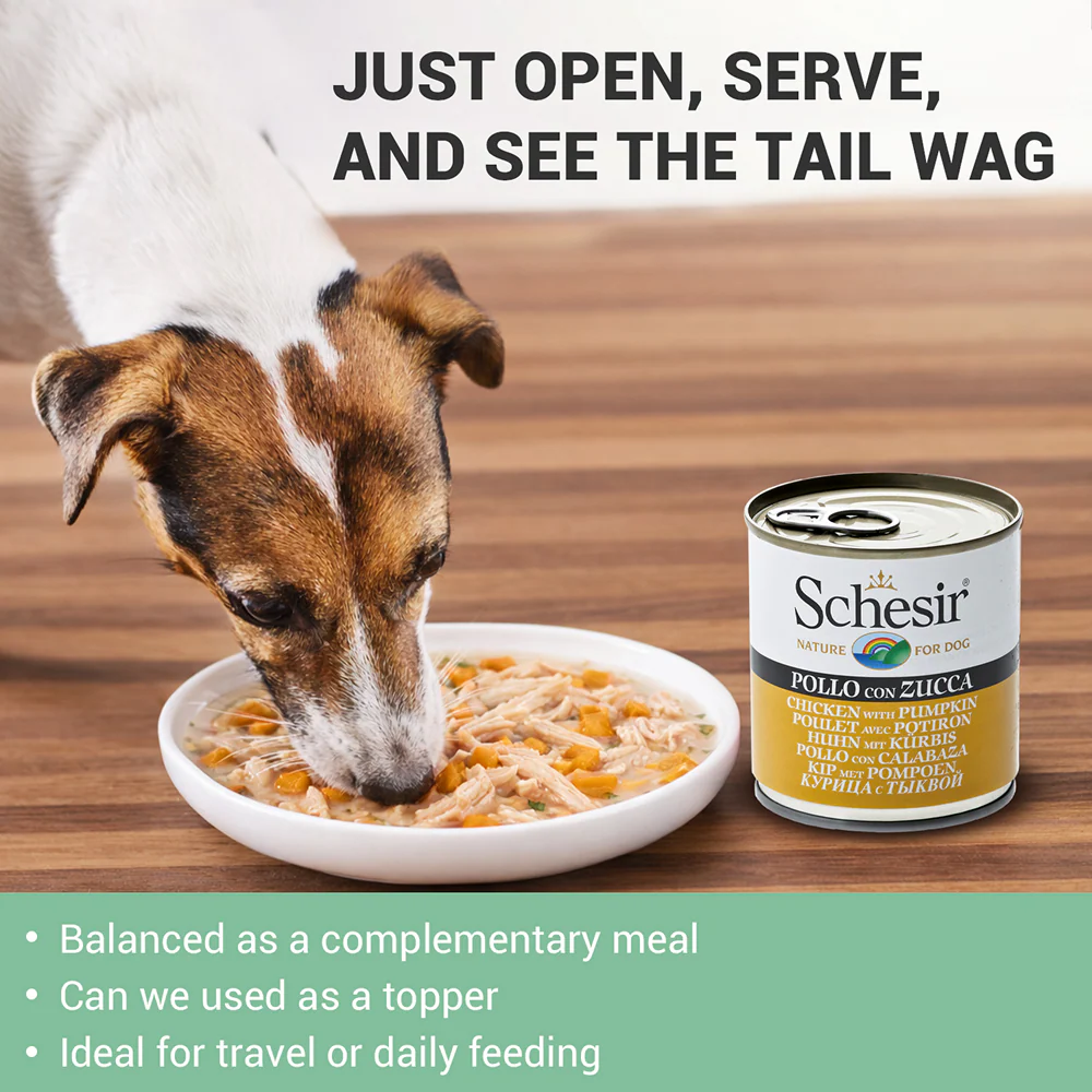 Schesir Chicken & Rice with Pumpkin in Jelly Dog Wet Food - Image 6