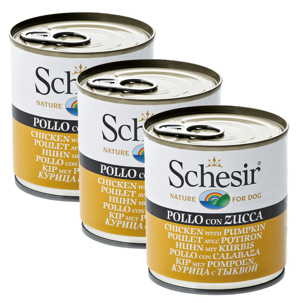 Schesir Chicken & Rice with Pumpkin in Jelly Dog Wet Food - Image 7