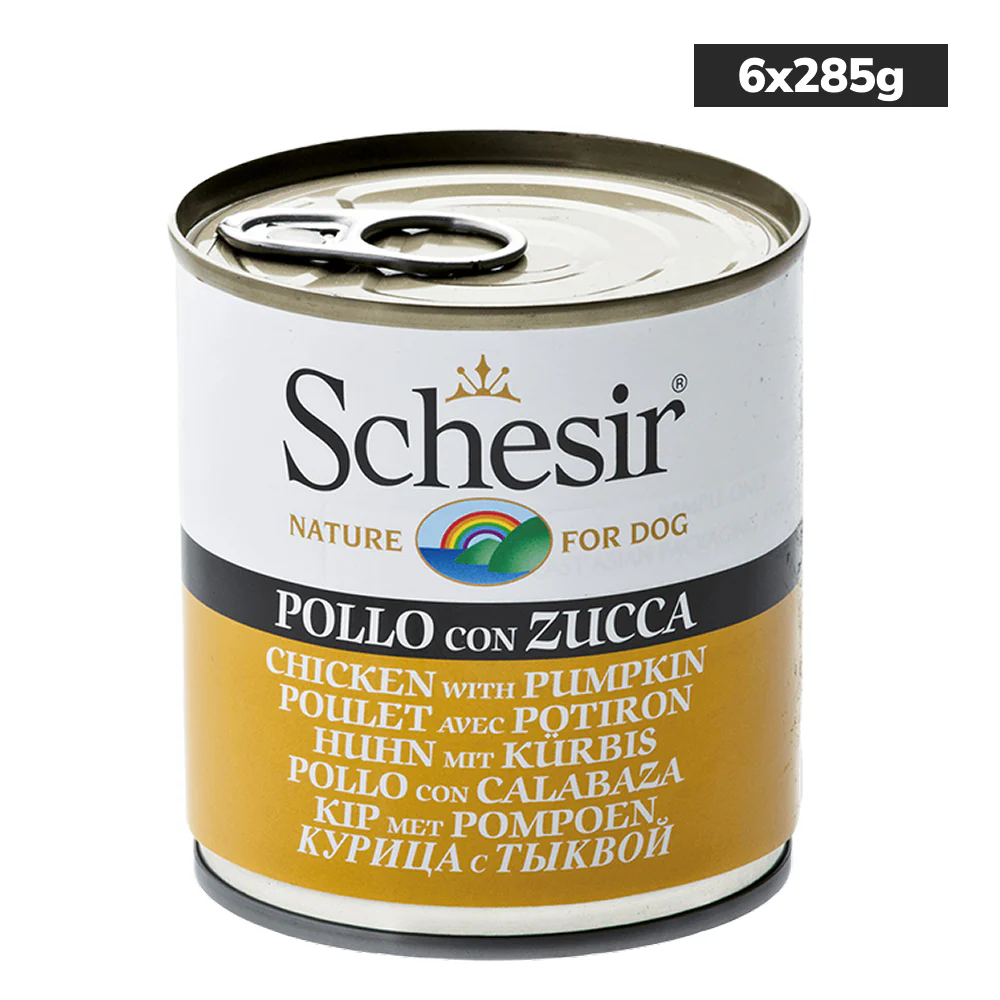 Schesir Chicken & Rice with Pumpkin in Jelly Dog Wet Food - Image 8