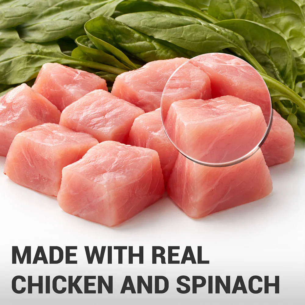 Schesir Chicken & Rice with Spinach in Jelly Dog Wet Food - Image 2