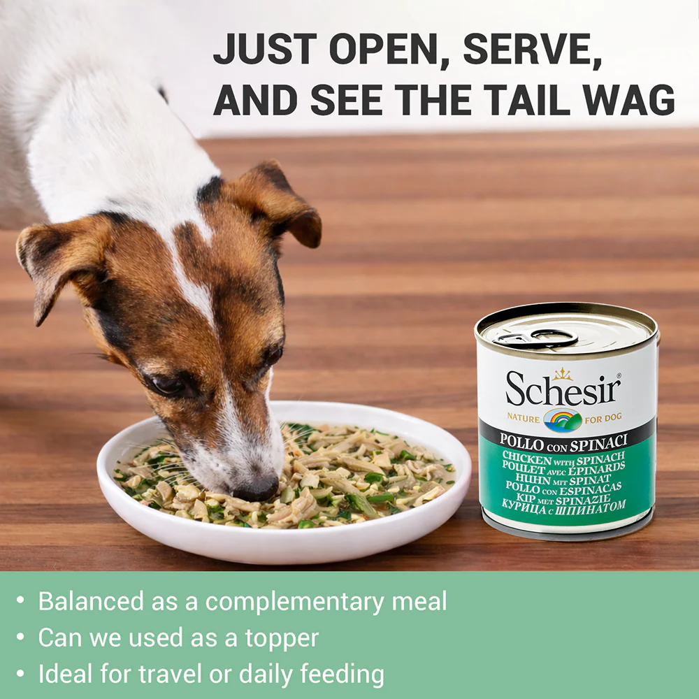 Schesir Chicken & Rice with Spinach in Jelly Dog Wet Food - Image 4