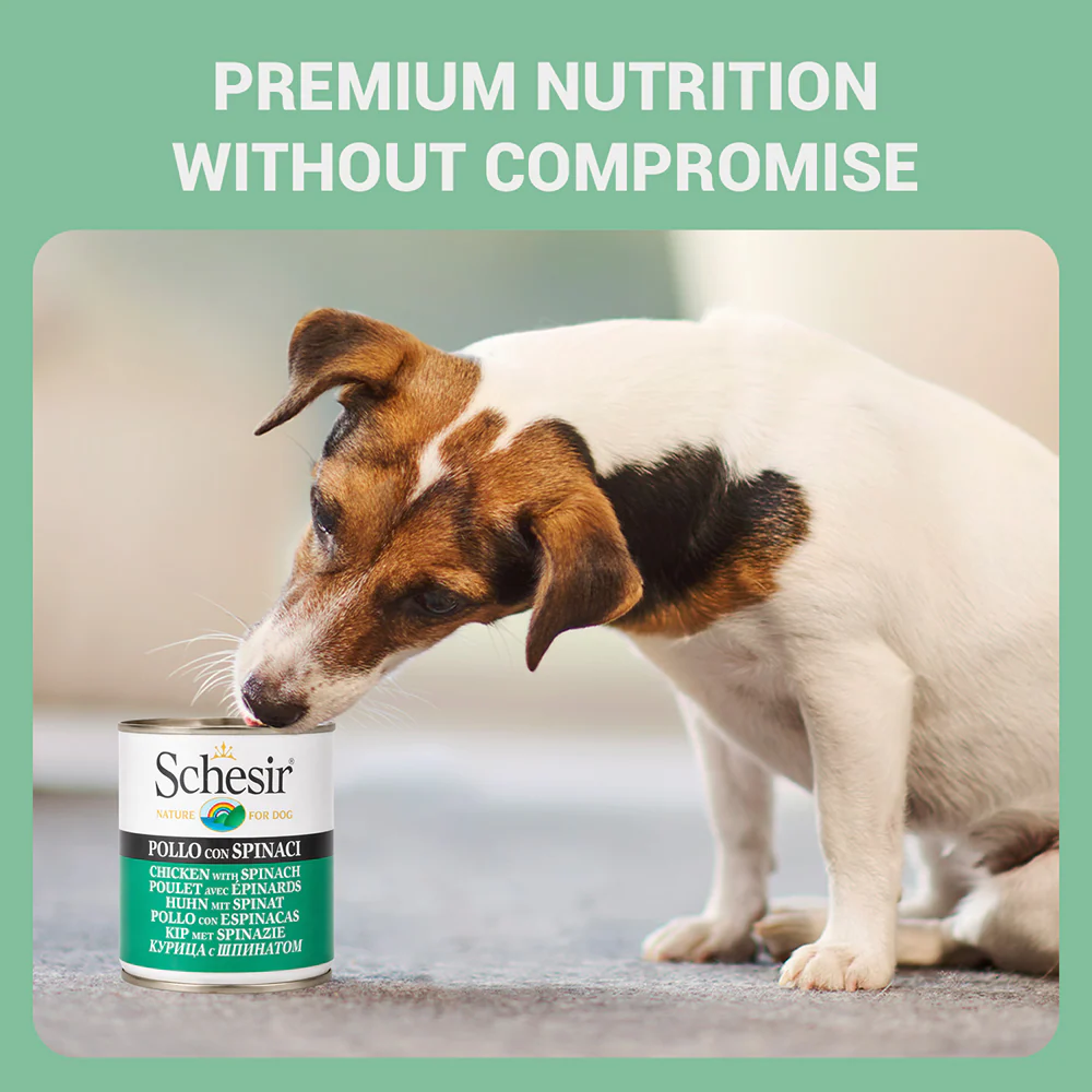 Schesir Chicken & Rice with Spinach in Jelly Dog Wet Food - Image 5