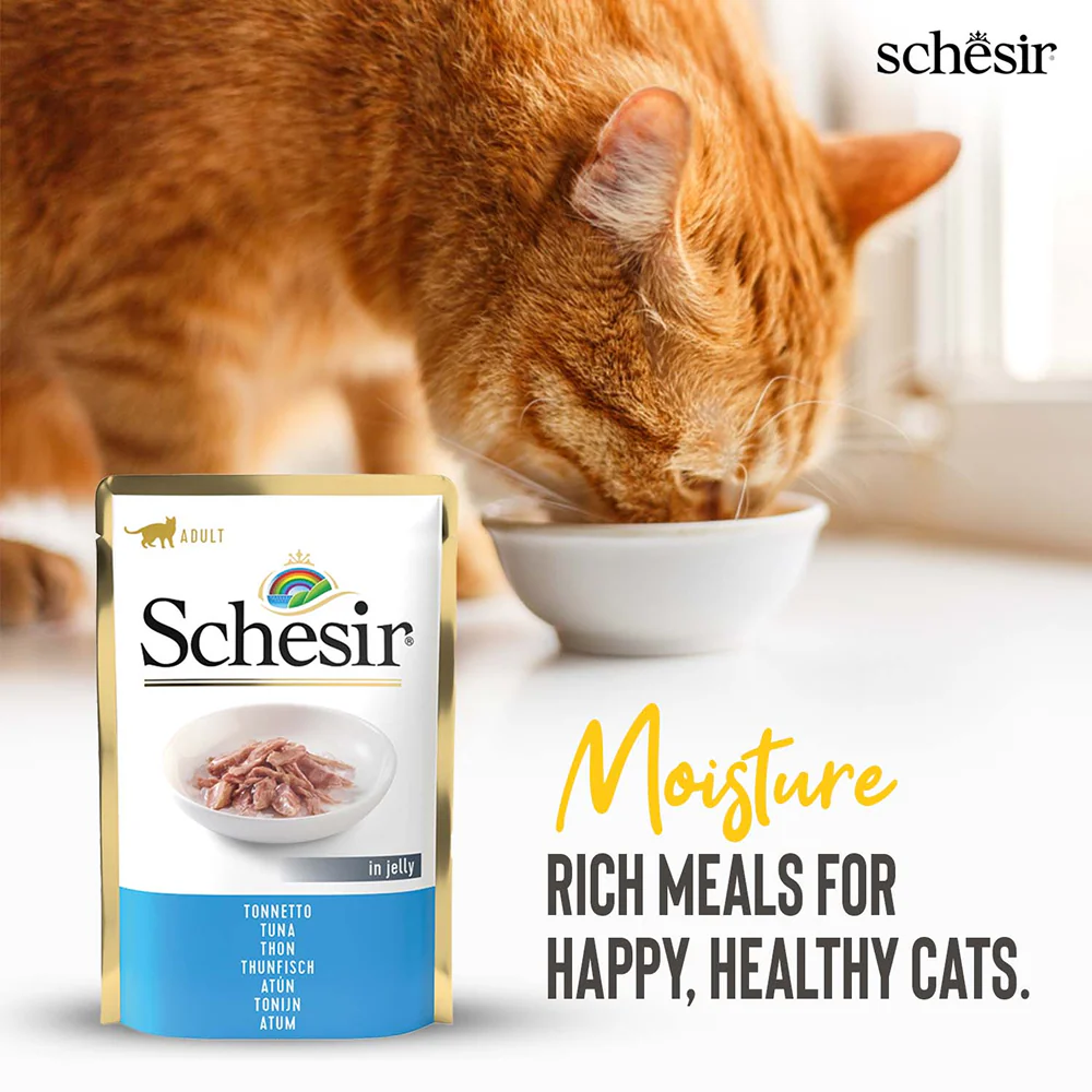 Schesir Tuna in Jelly Adult Cat Wet Food - Image 5