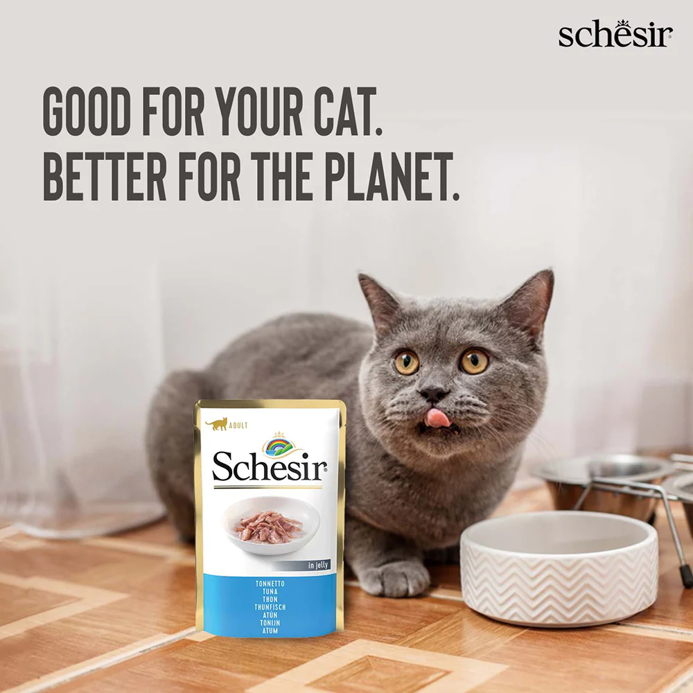 Schesir Tuna in Jelly Adult Cat Wet Food - Image 6