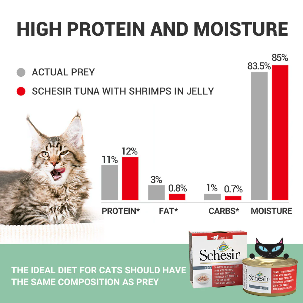 Schesir Tuna In Jelly with Shrimp Adult Cat Wet Food - Image 3