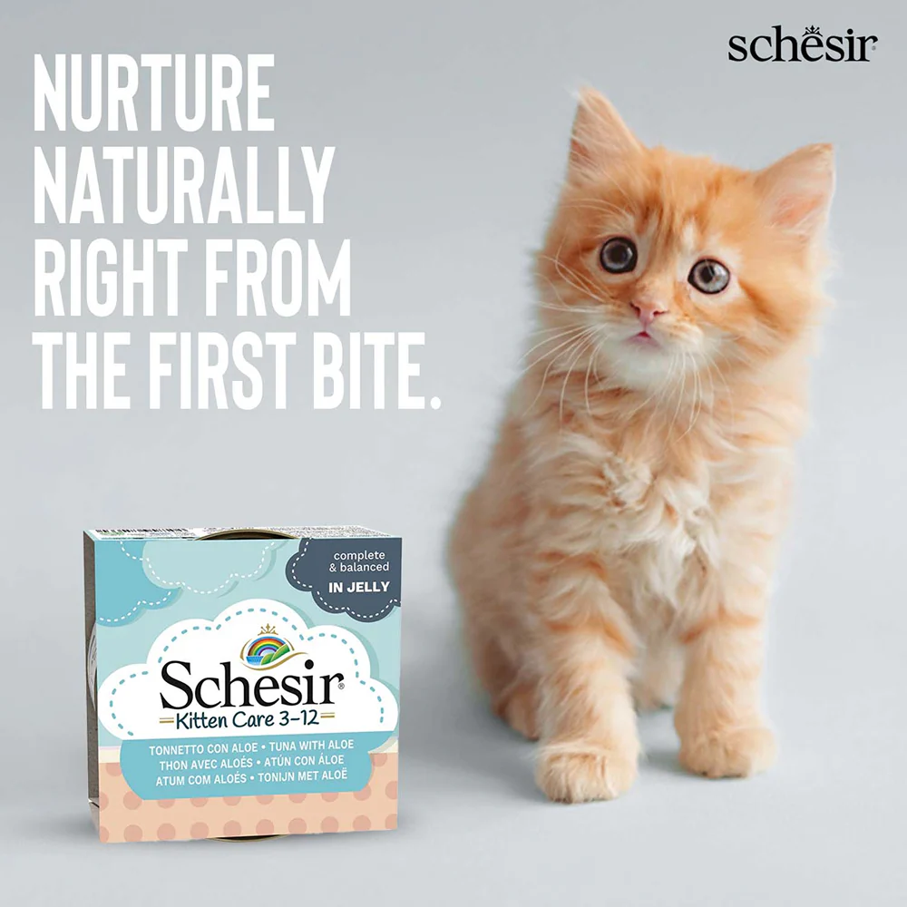 Schesir Tuna Whole Meat and Rice with Aloe Vera in Jelly Cat Wet Food - Image 5