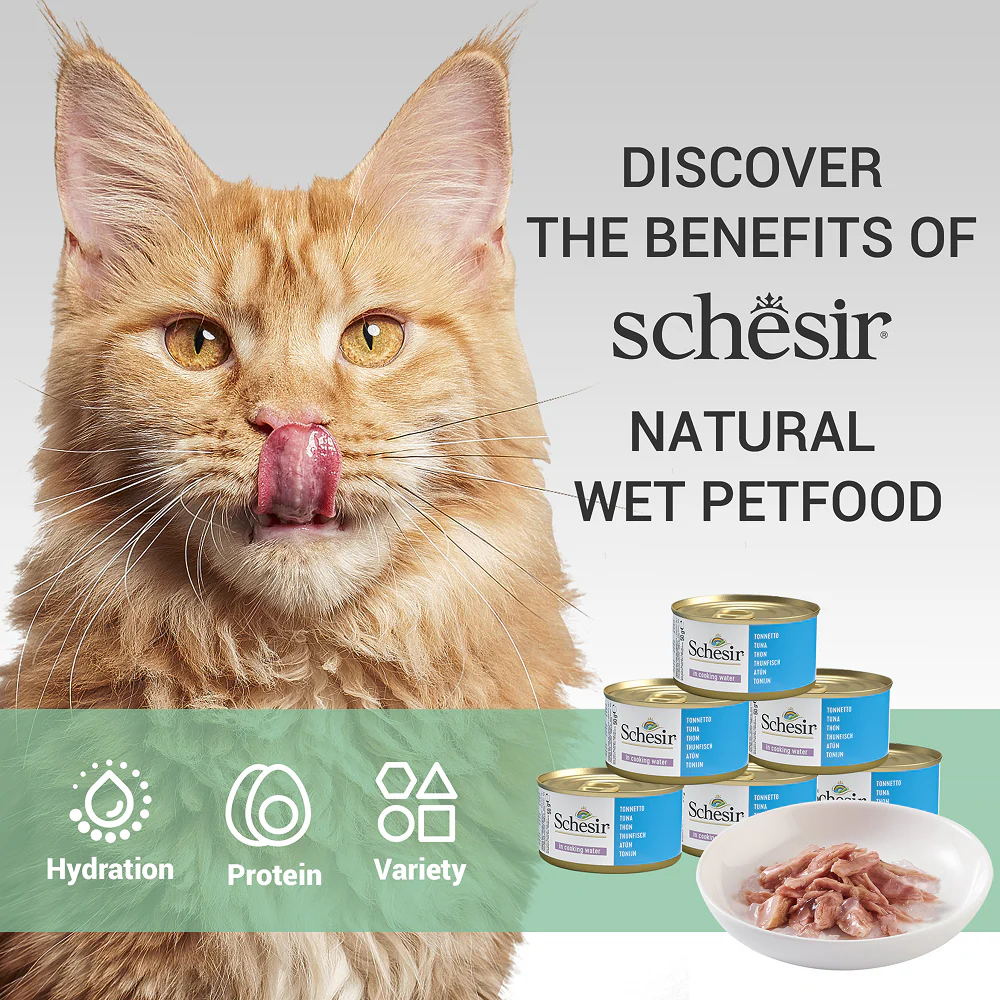Schesir Tuna Whole Meat & Rice in Jelly Adult Cat Wet Food - Image 4