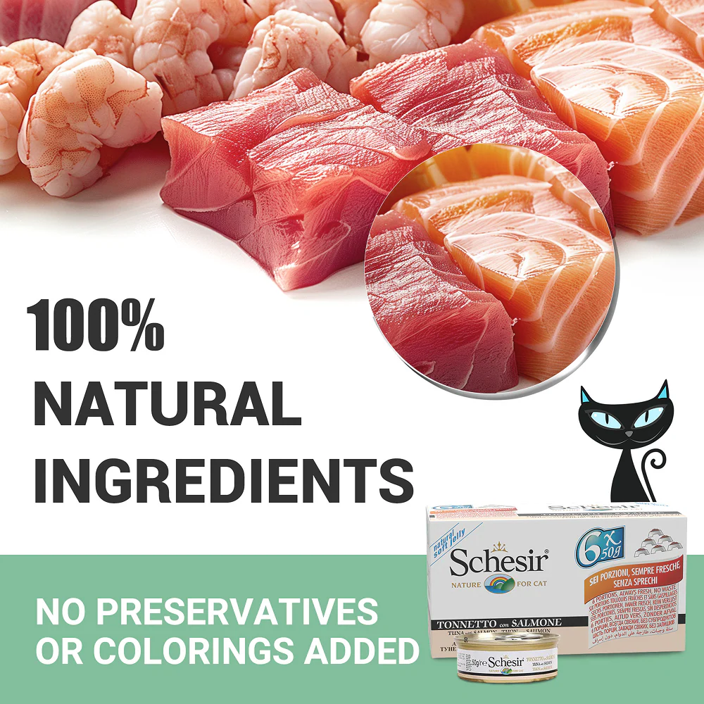 Schesir Tuna Whole Meat Salmon Rice in Jelly Adult Cat Wet Food - Image 4