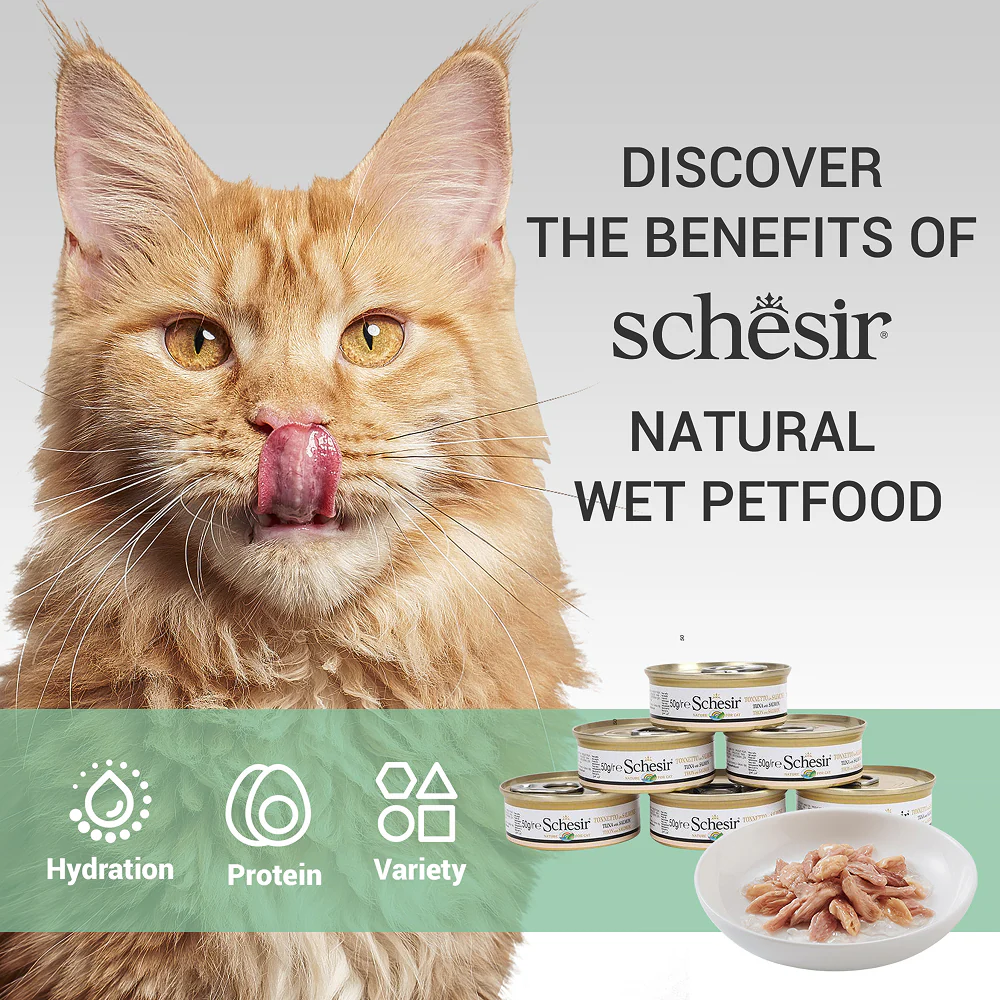 Schesir Tuna Whole Meat Salmon Rice in Jelly Adult Cat Wet Food - Image 5